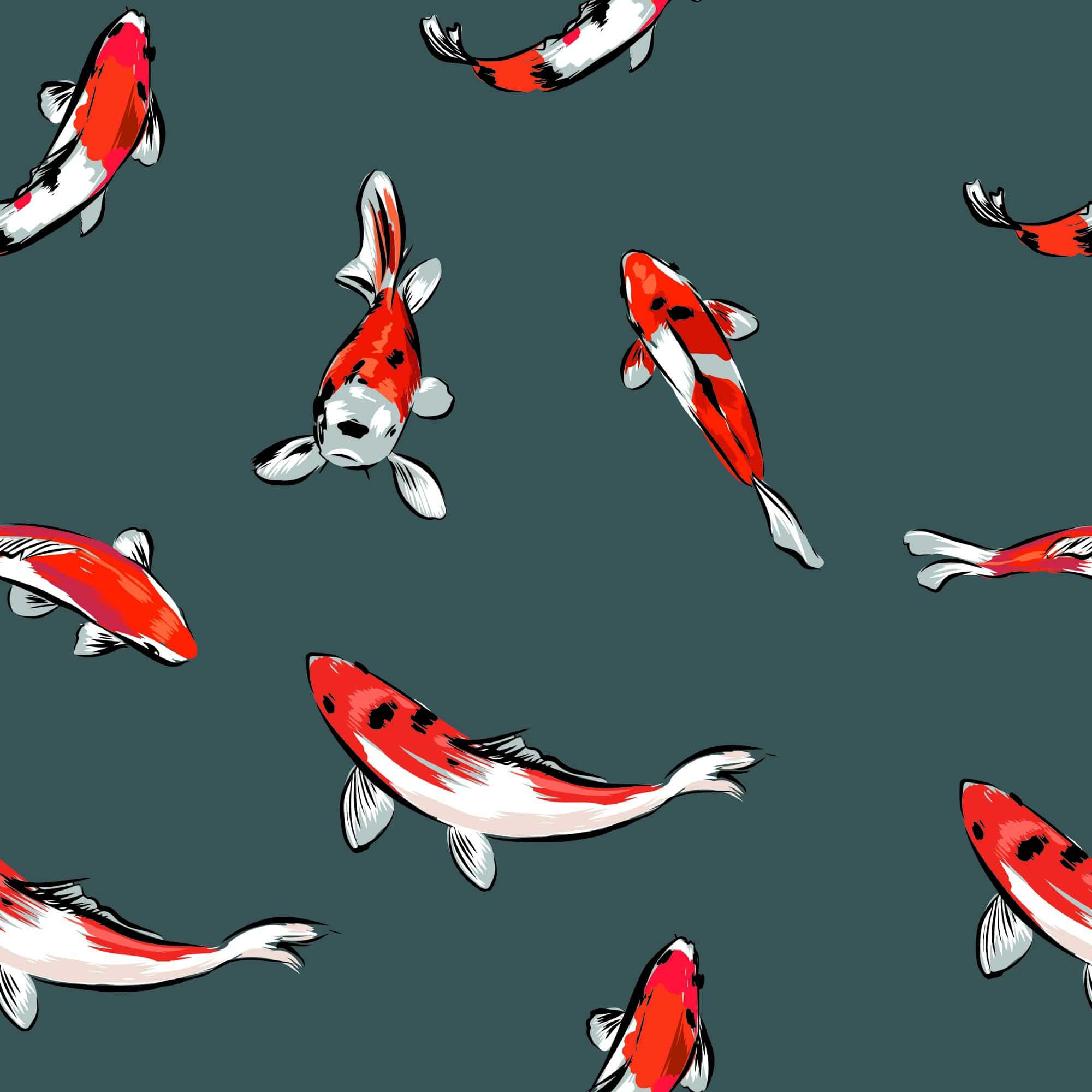 Koi Fish Wallpaper And Stick Or Non Pasted