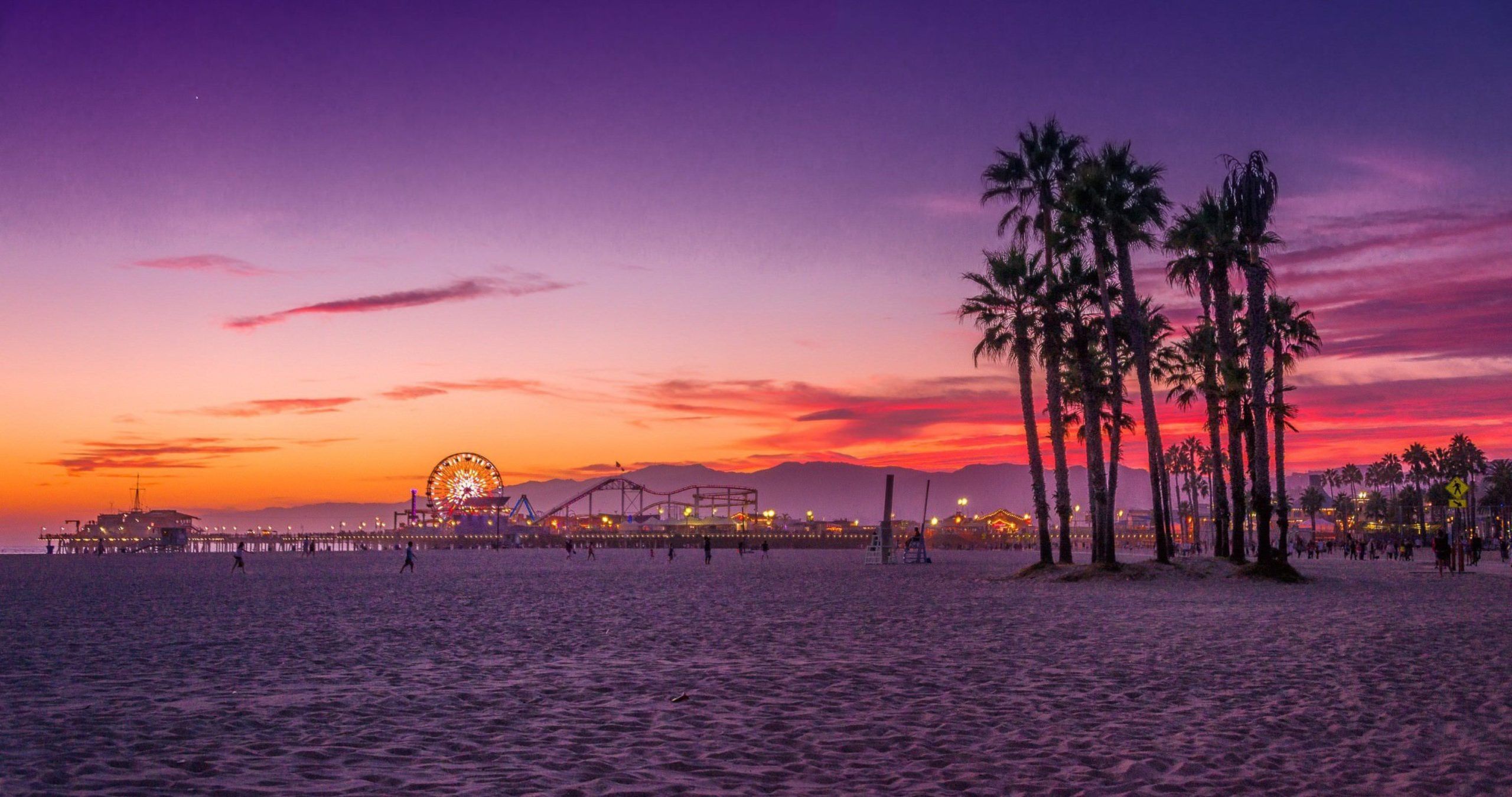 A beautiful sunset at the beach with palm trees and a ferris wheel in the distance. - Los Angeles, California
