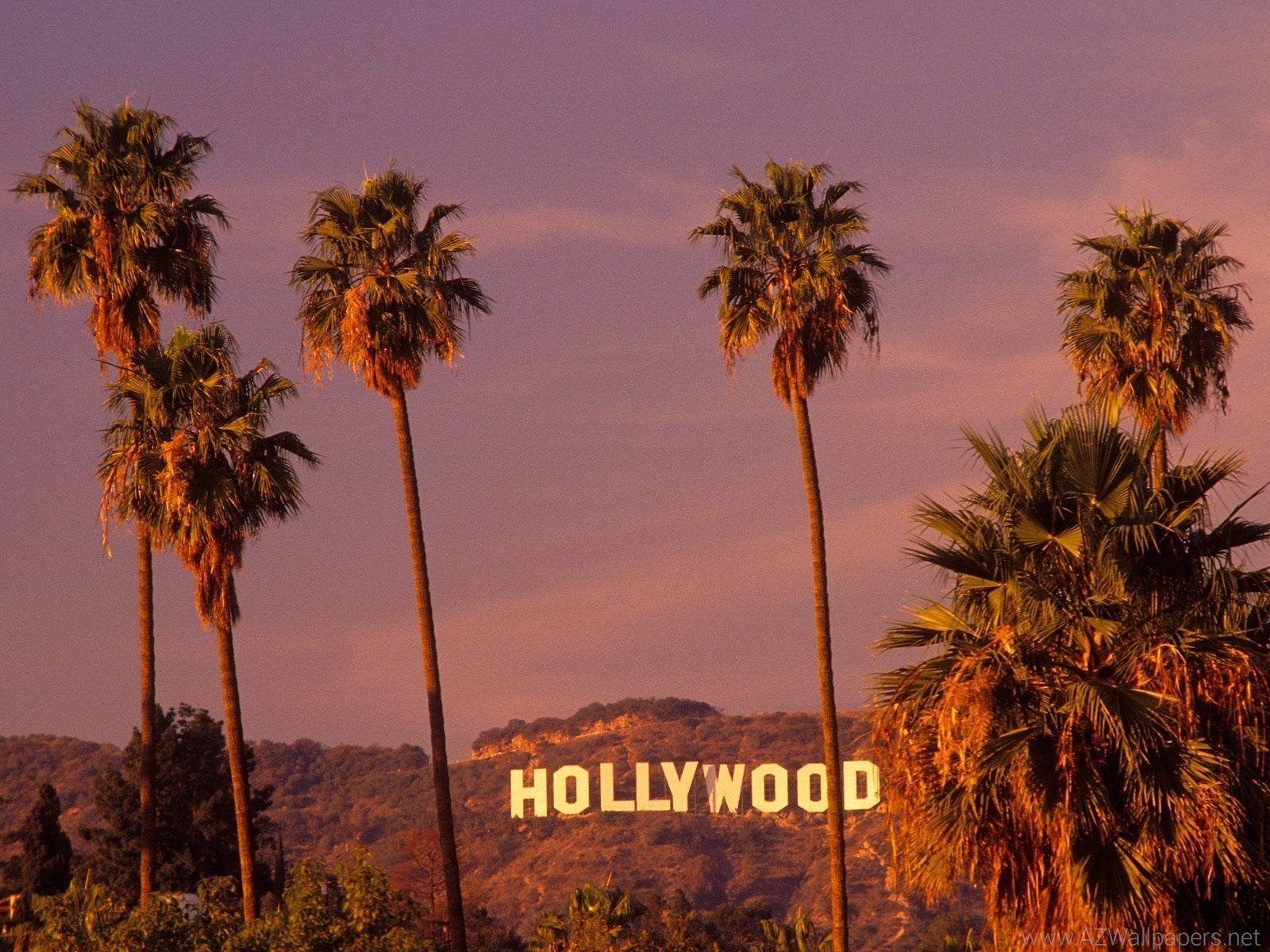 A group of palm trees in front - Los Angeles, California