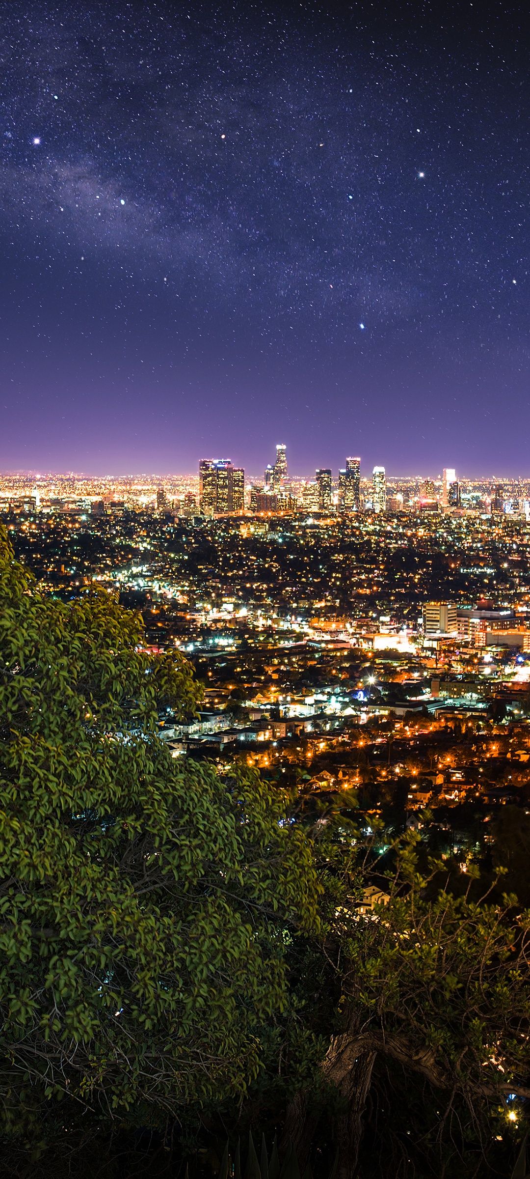 A city skyline at night with stars in the background - Los Angeles
