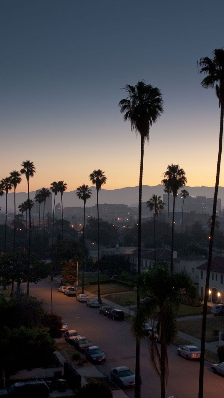A street lined with palm trees at sunset. - Los Angeles