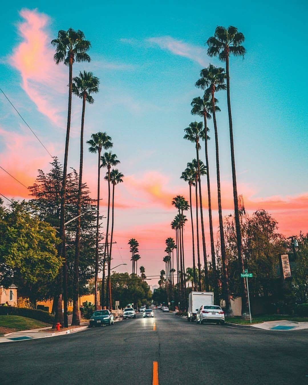 A street lined with palm trees in California - Los Angeles