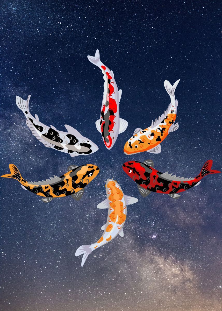A digital painting of six koi fish swimming in a circle. - Koi fish