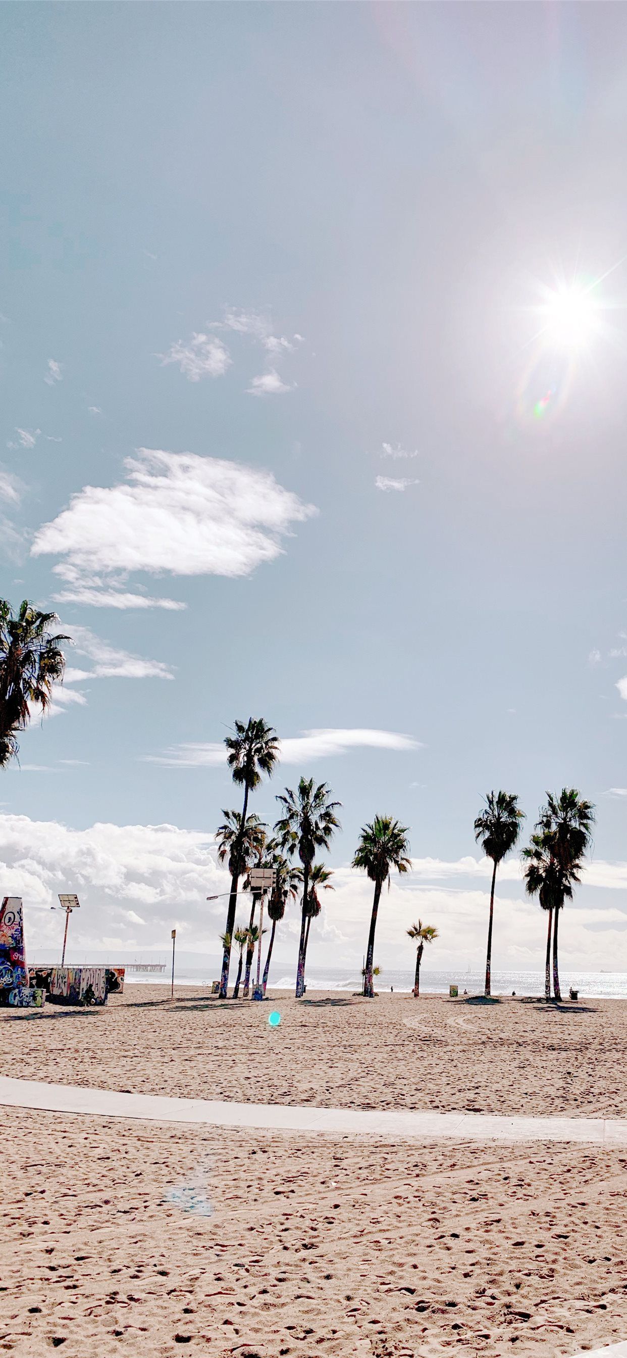 Palm Trees in Venice Beach Los Angeles palmtrees v. iPhone X Wallpaper Free Download