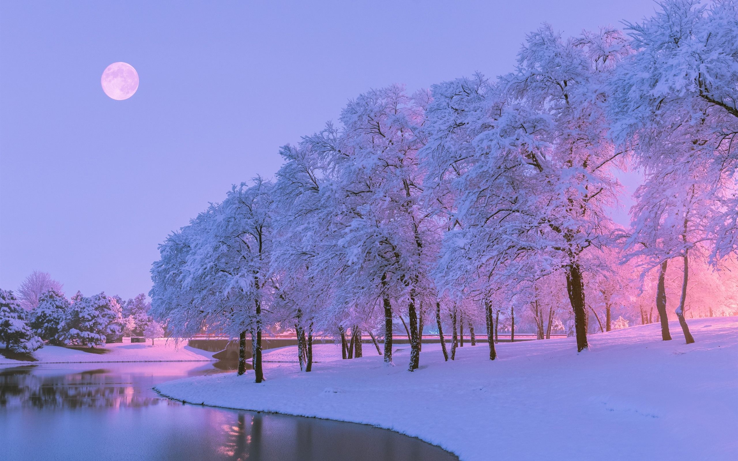 A beautiful winter night with a full moon, snow covered trees and a lake. - Snow, river