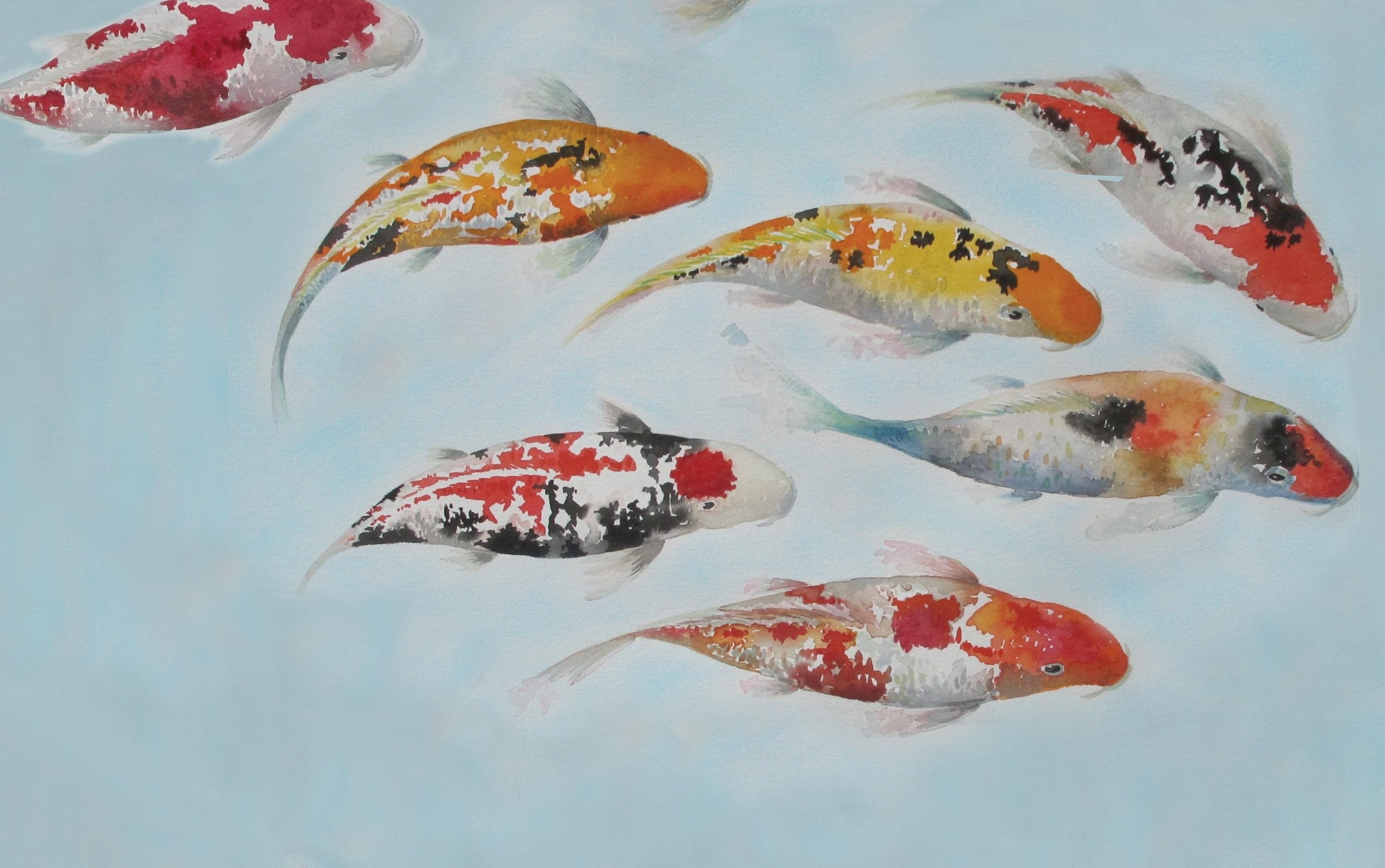A painting of several koi fish swimming in the water - Koi fish
