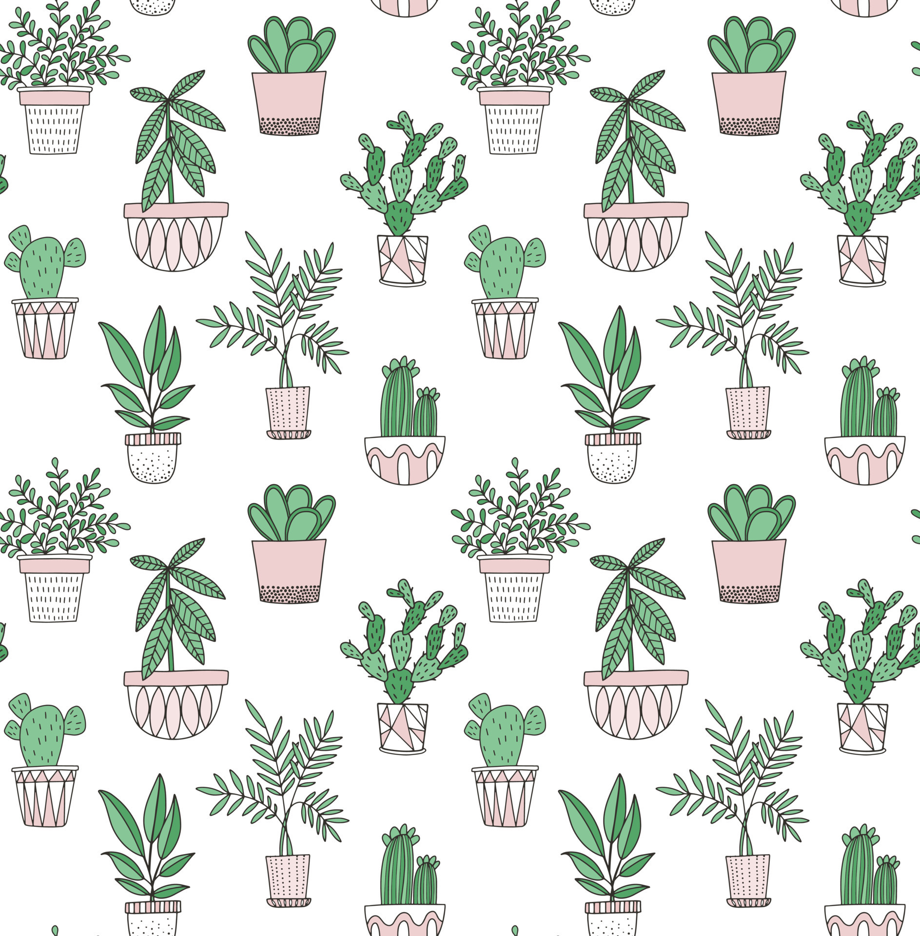 Cactus pattern with pots and plants - Succulent