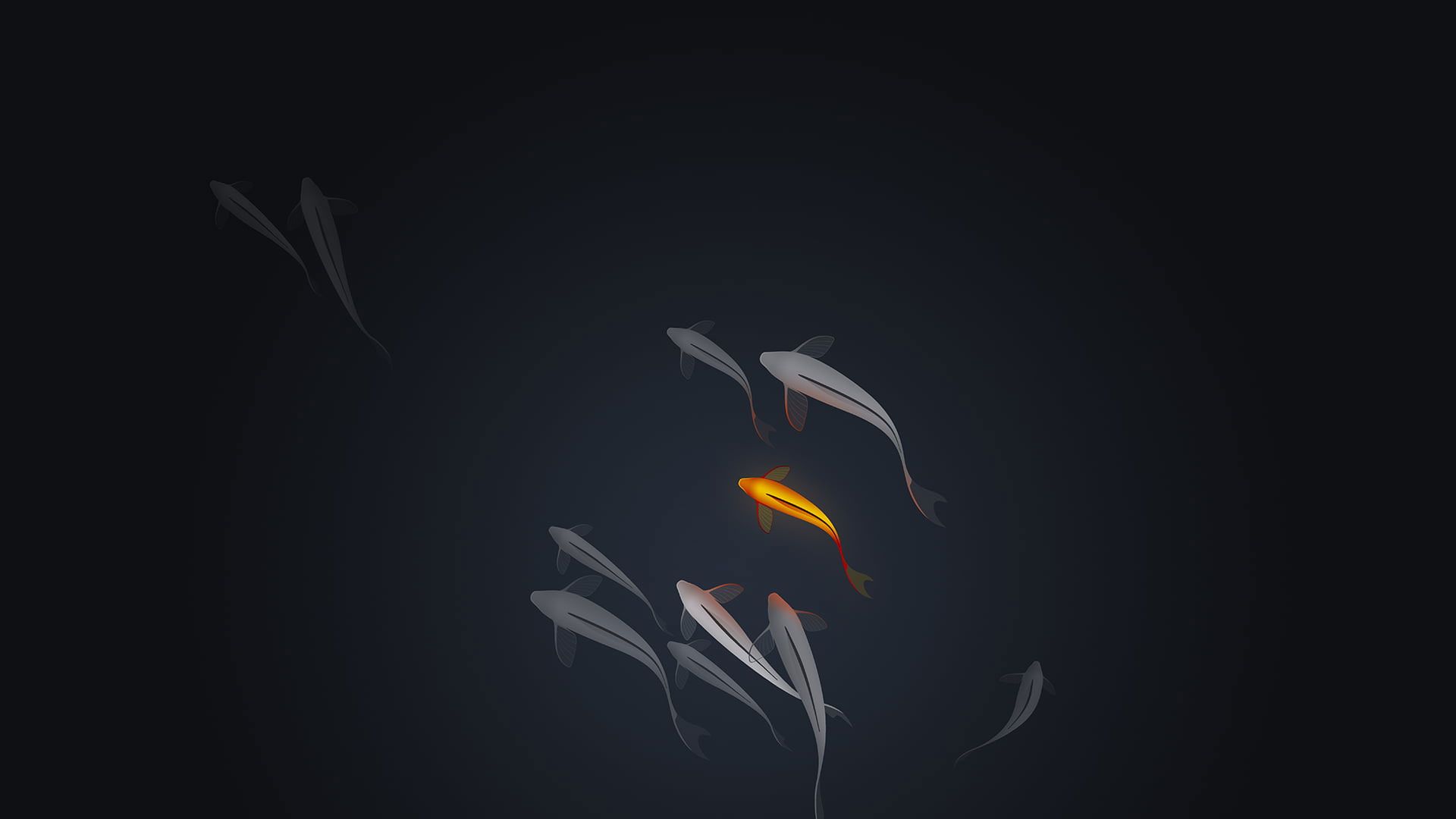 A fish swimming in the dark water - Koi fish