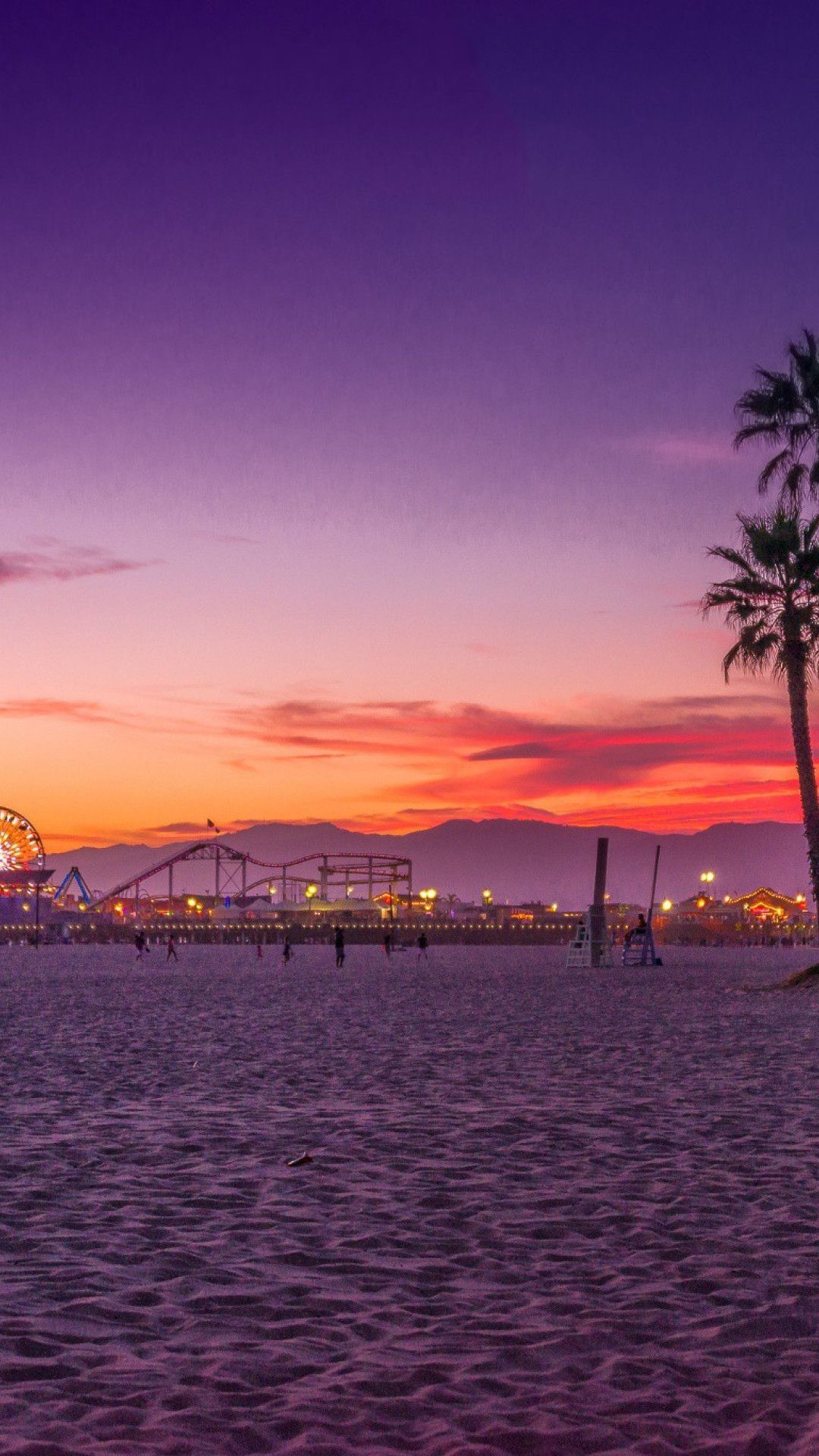 A beach with palm trees and an amusement park - Los Angeles