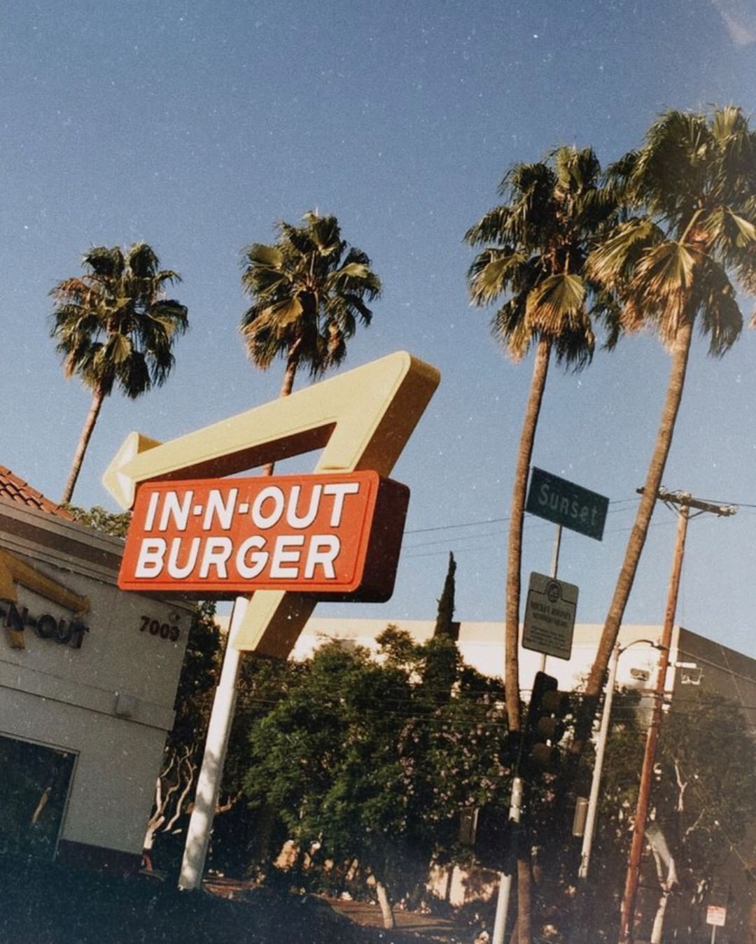 A sign for in-n -out burger with palm trees - Los Angeles