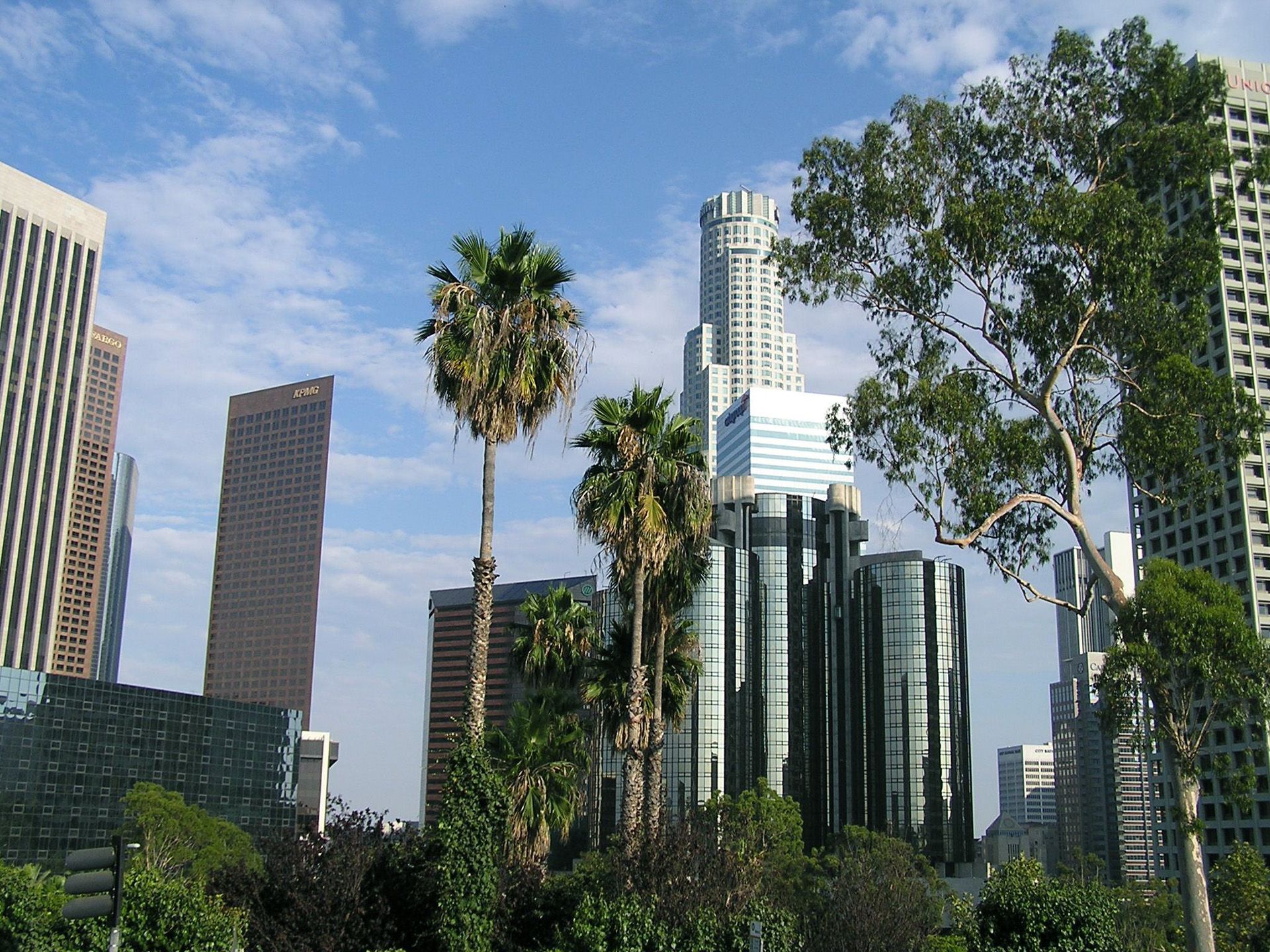 A city skyline with tall buildings and palm trees. - Los Angeles