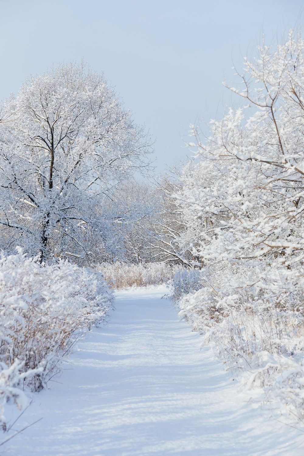Winter Wallpaper Picture. Download Free Image