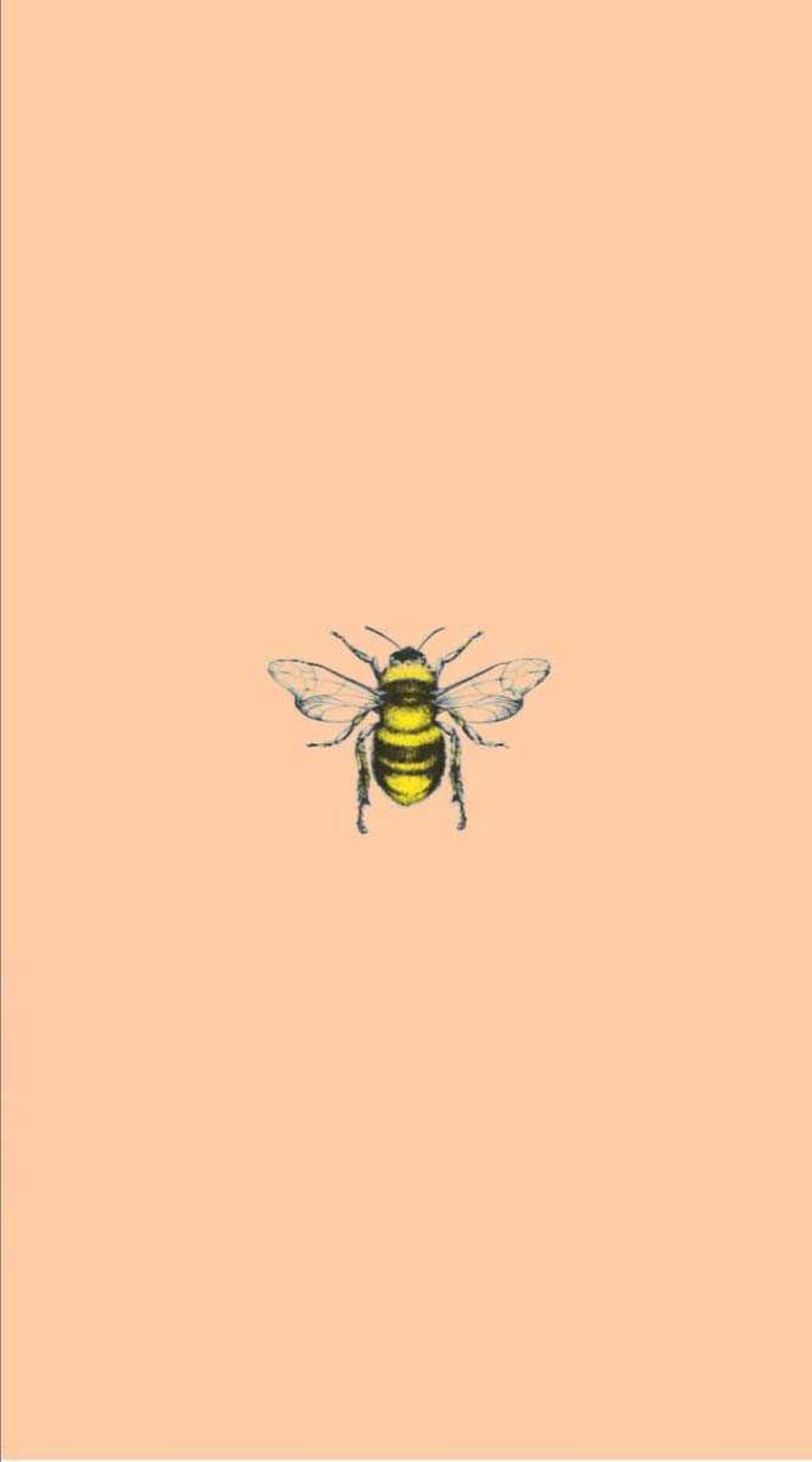 aesthetic bees HD wallpaper