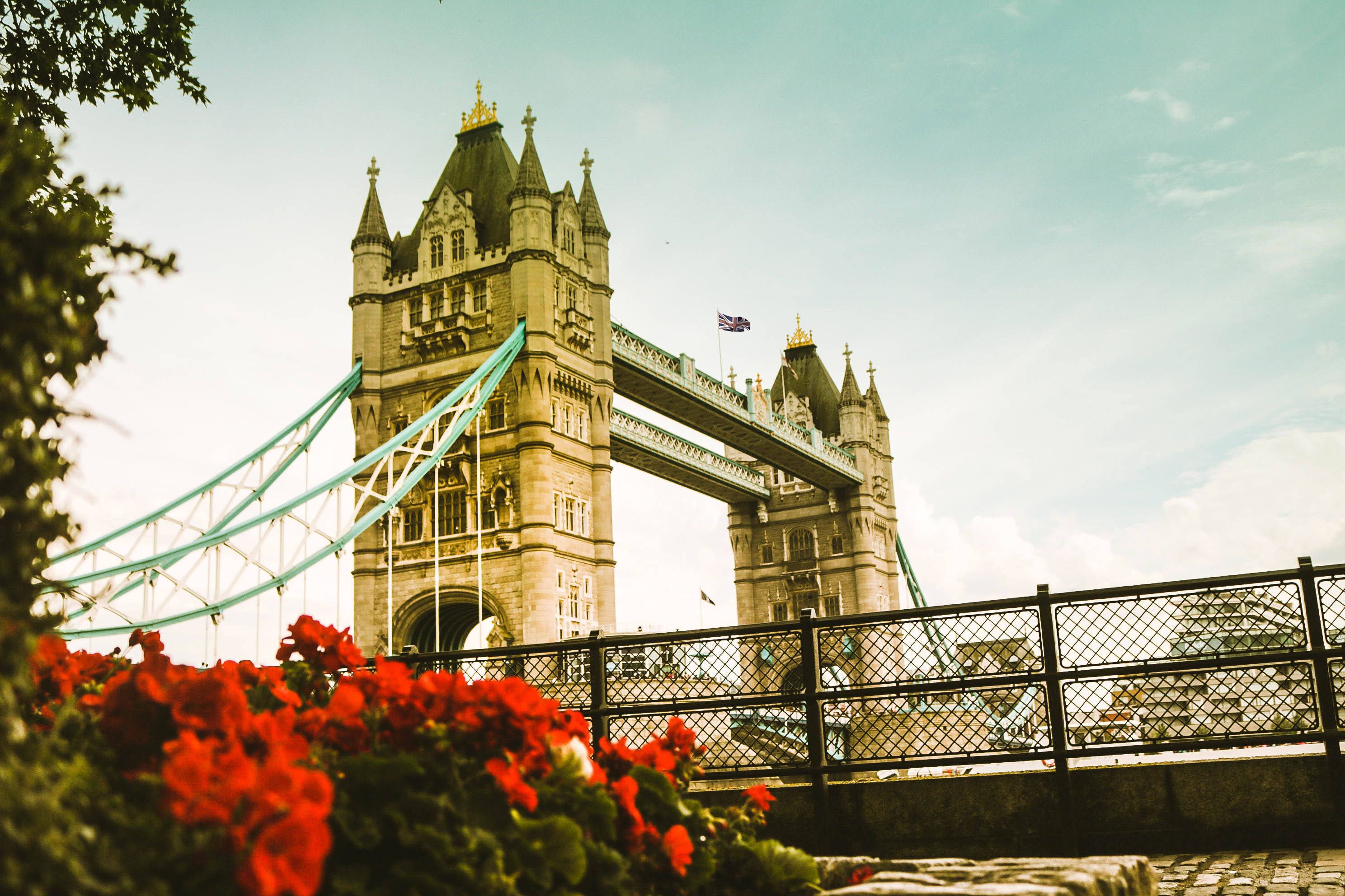 A bridge with flowers and trees in the foreground - London