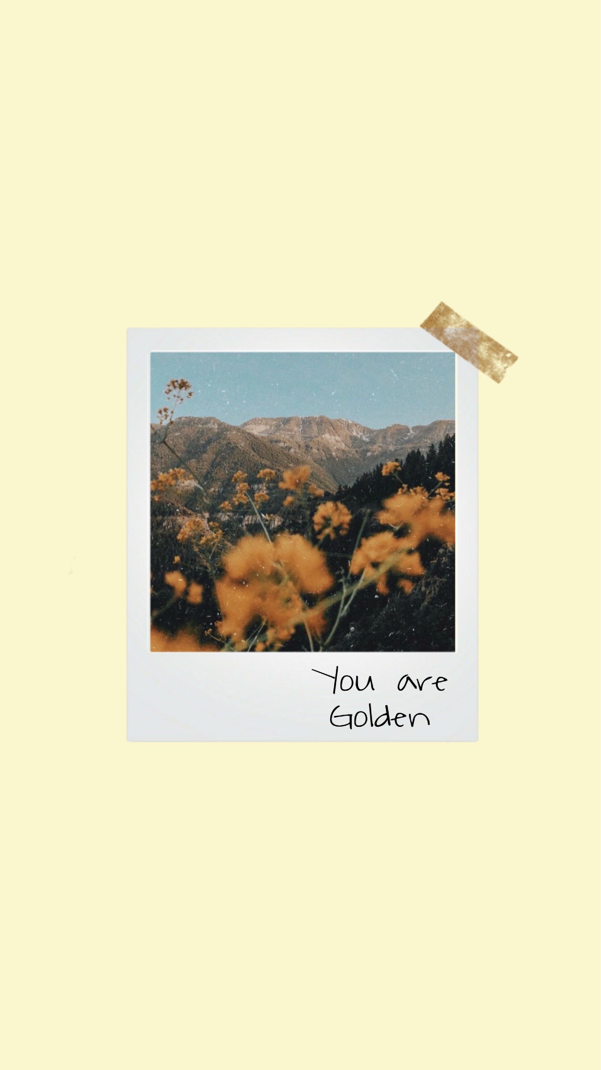 Polaroid picture of yellow flowers with the words 