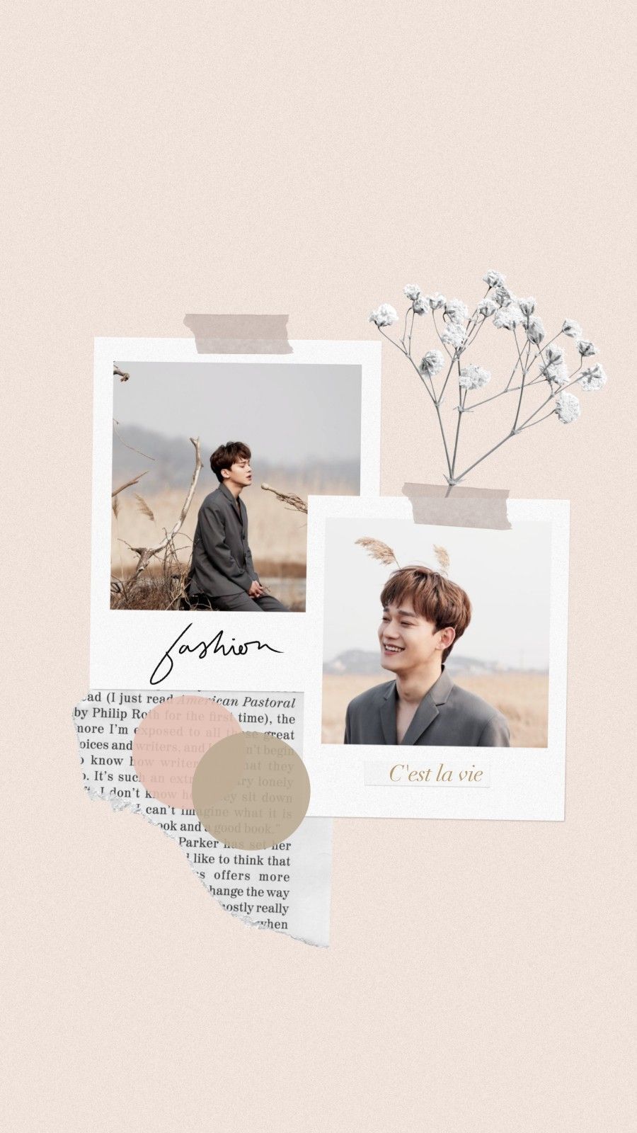 Chen beige aesthetic wallpaper. Kartu kertas, Pengeditan foto, Fotografi alam