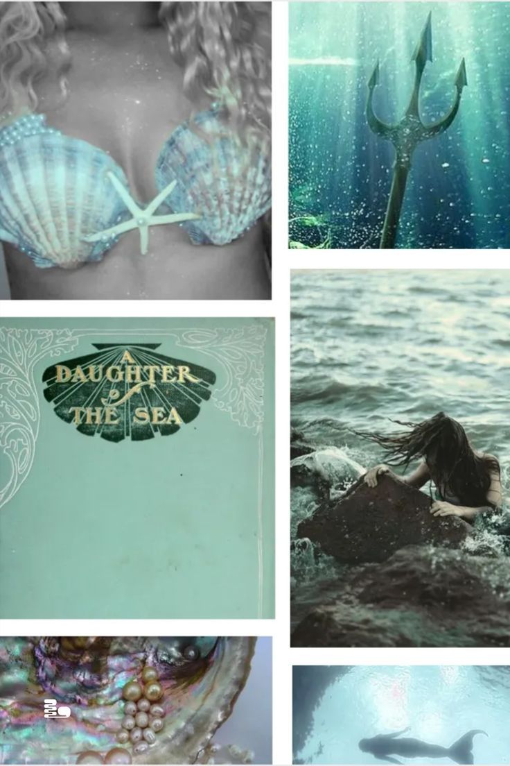 A collage of pictures with mermaids and sea creatures - Mermaid