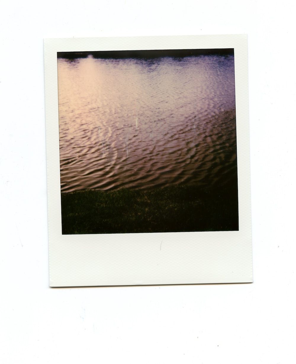 A polaroid picture of water with some ducks - Polaroid