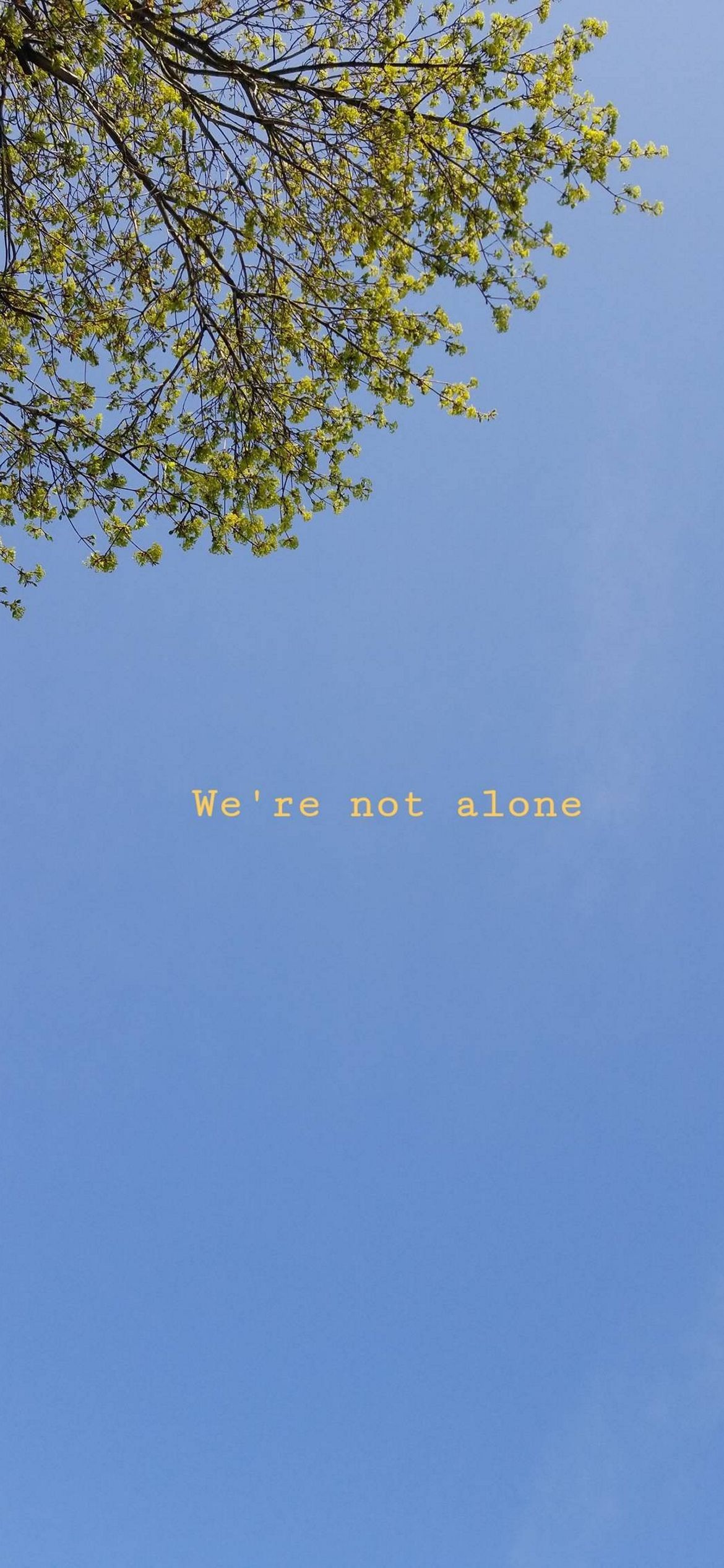 We're not alone - Polaroid