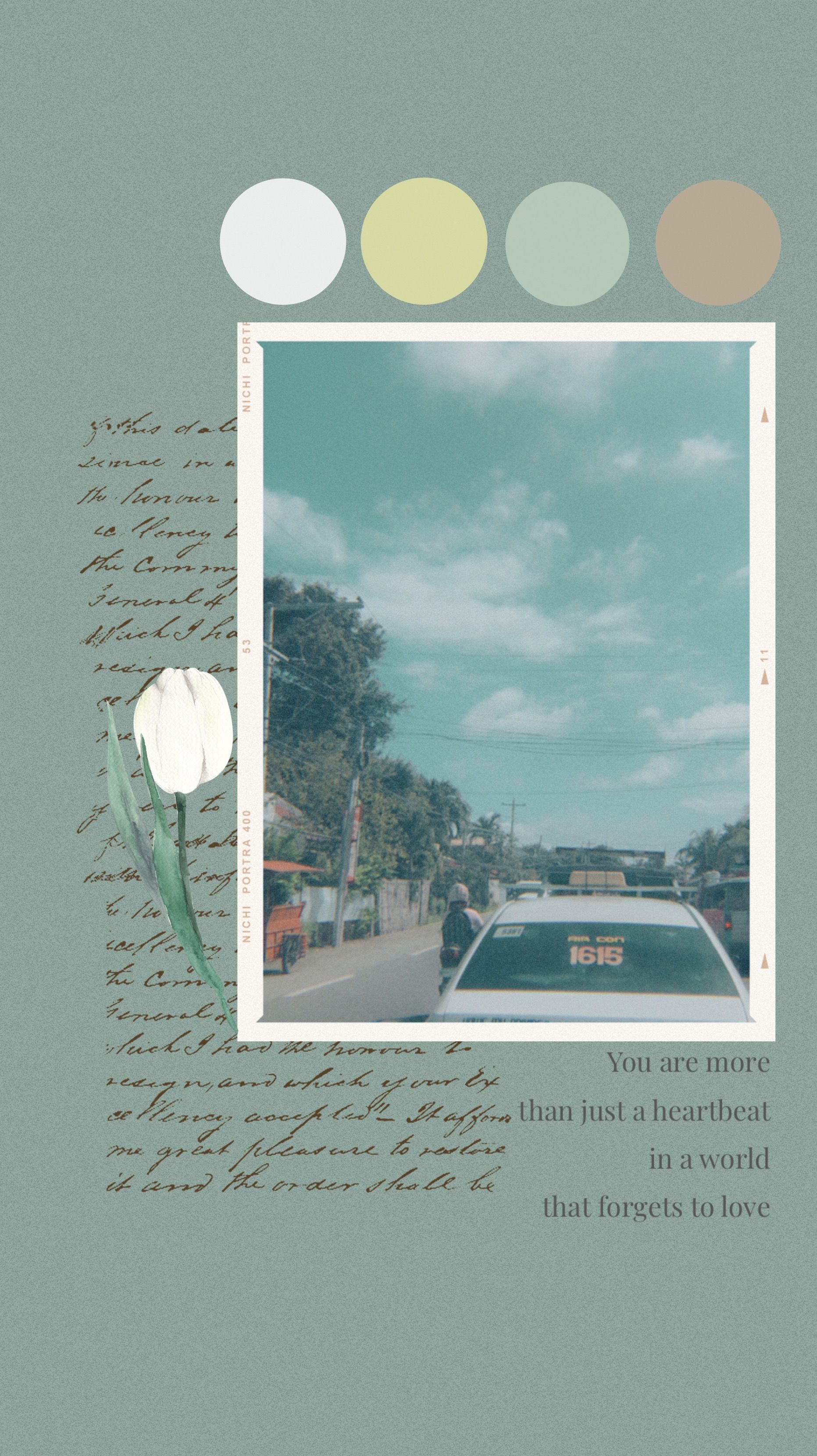 A collage of a white flower, a car, and a green background with text that says 