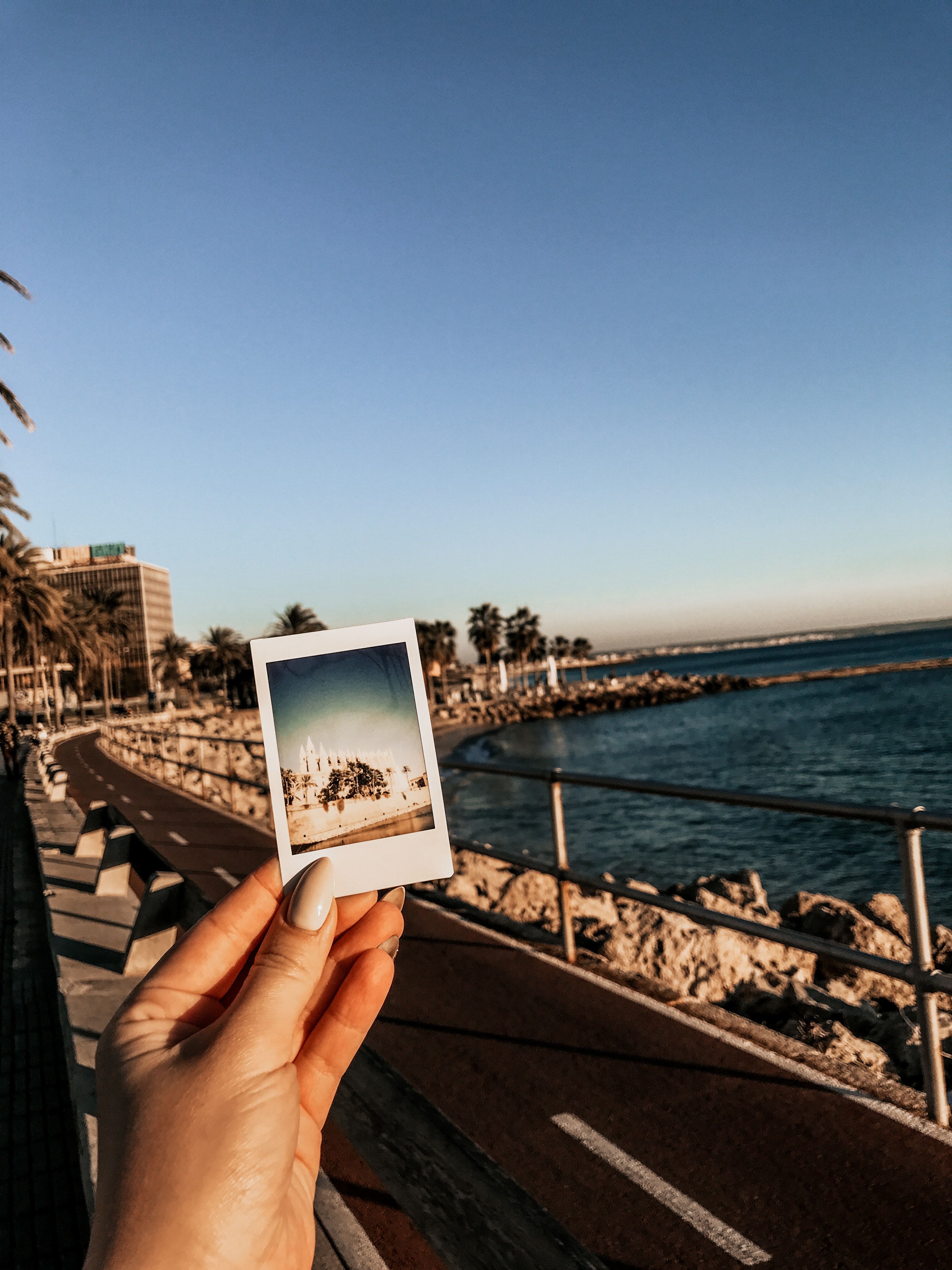 A hand holding a polaroid picture of a beach - Polaroid