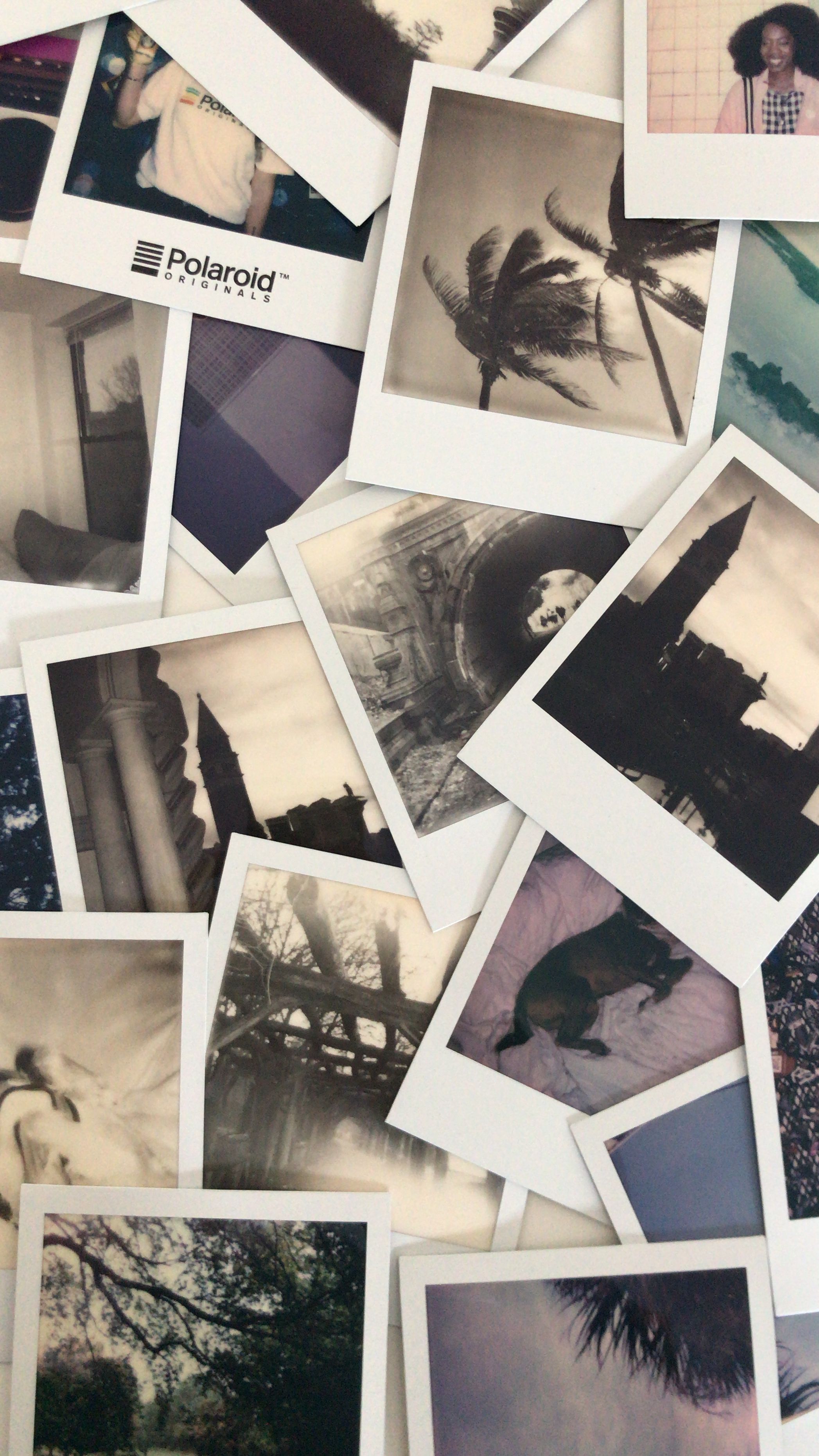 A pile of Polaroid photos. - Polaroid