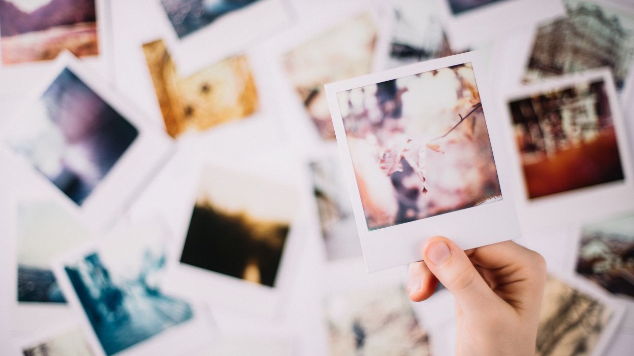 A hand holding a polaroid picture of a tree branch - Polaroid