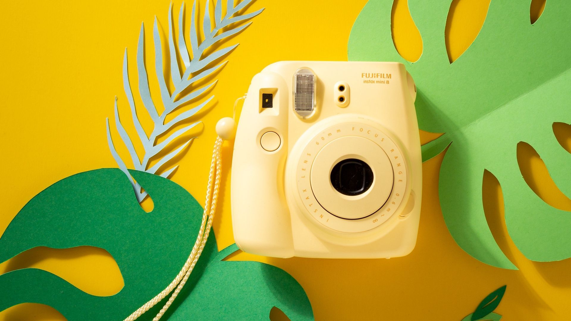 A yellow camera on a yellow background with green leaves - Polaroid