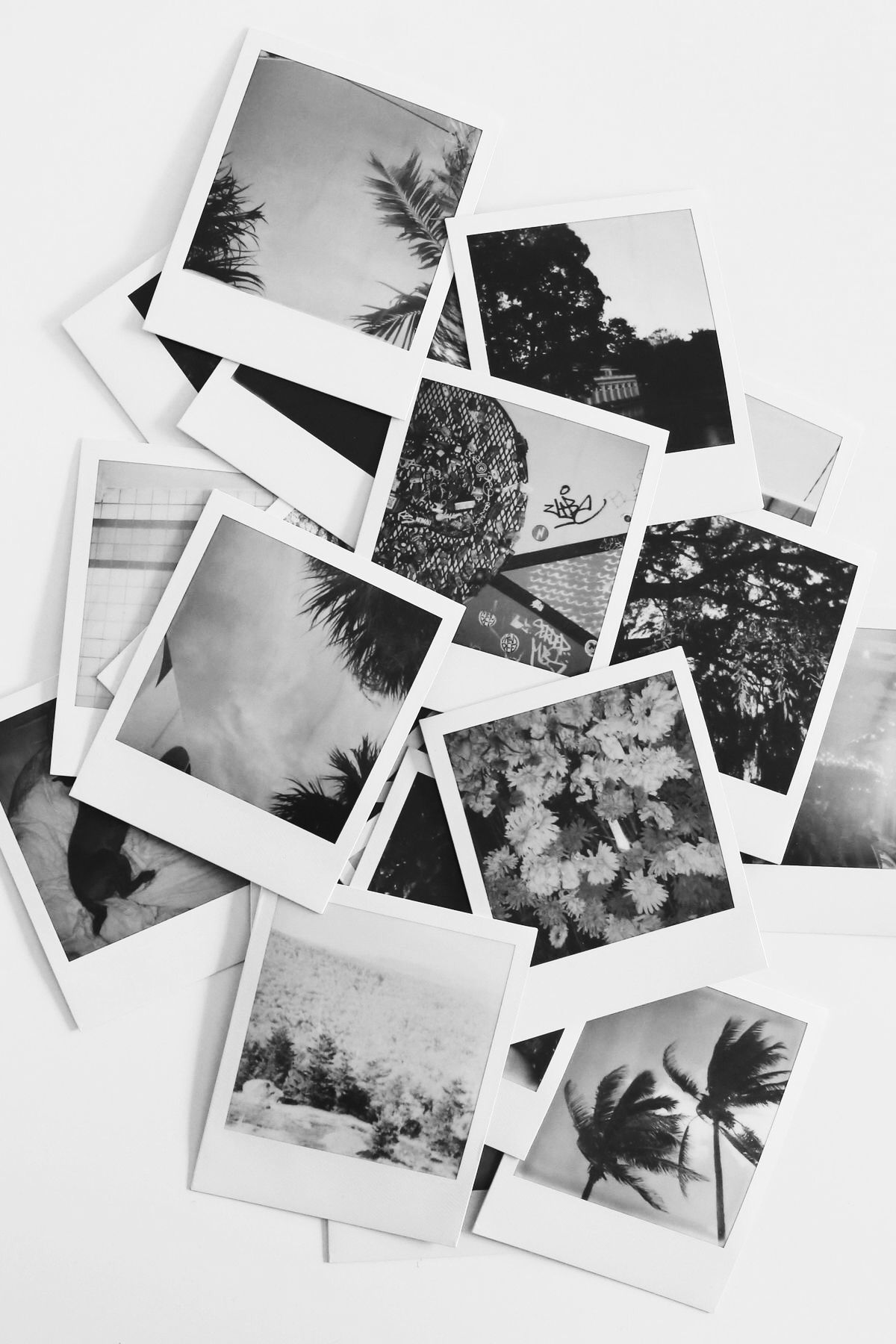 A bunch of polaroids are scattered on the table - Polaroid