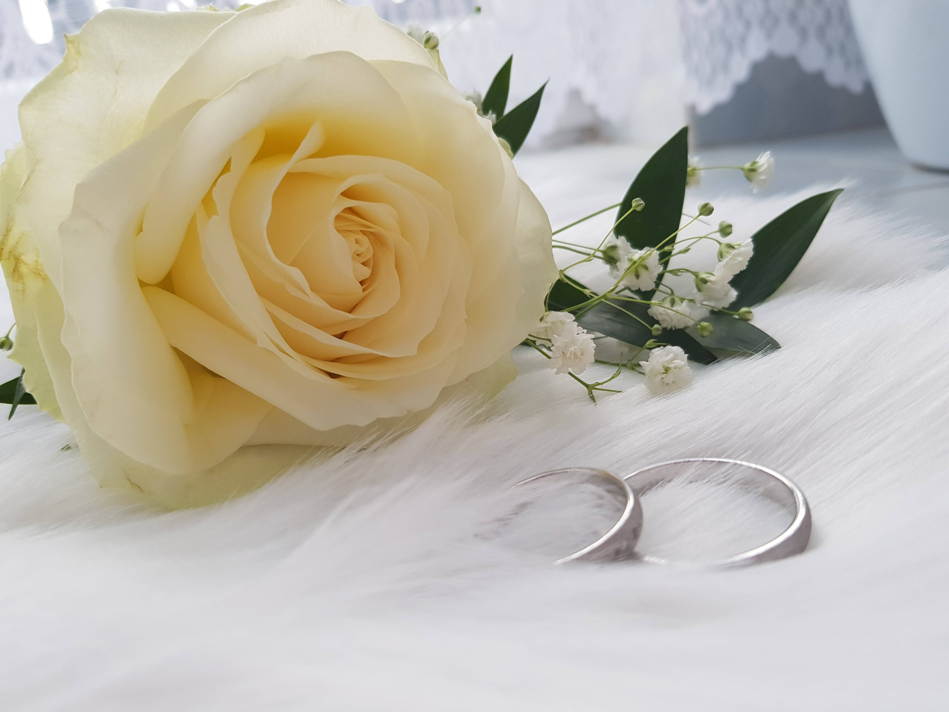 Download Wedding Aesthetic Rose Wallpaper