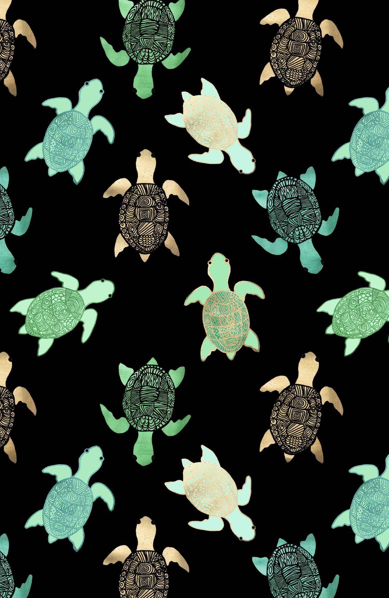 Turtles on a black background - Turtle, sea turtle