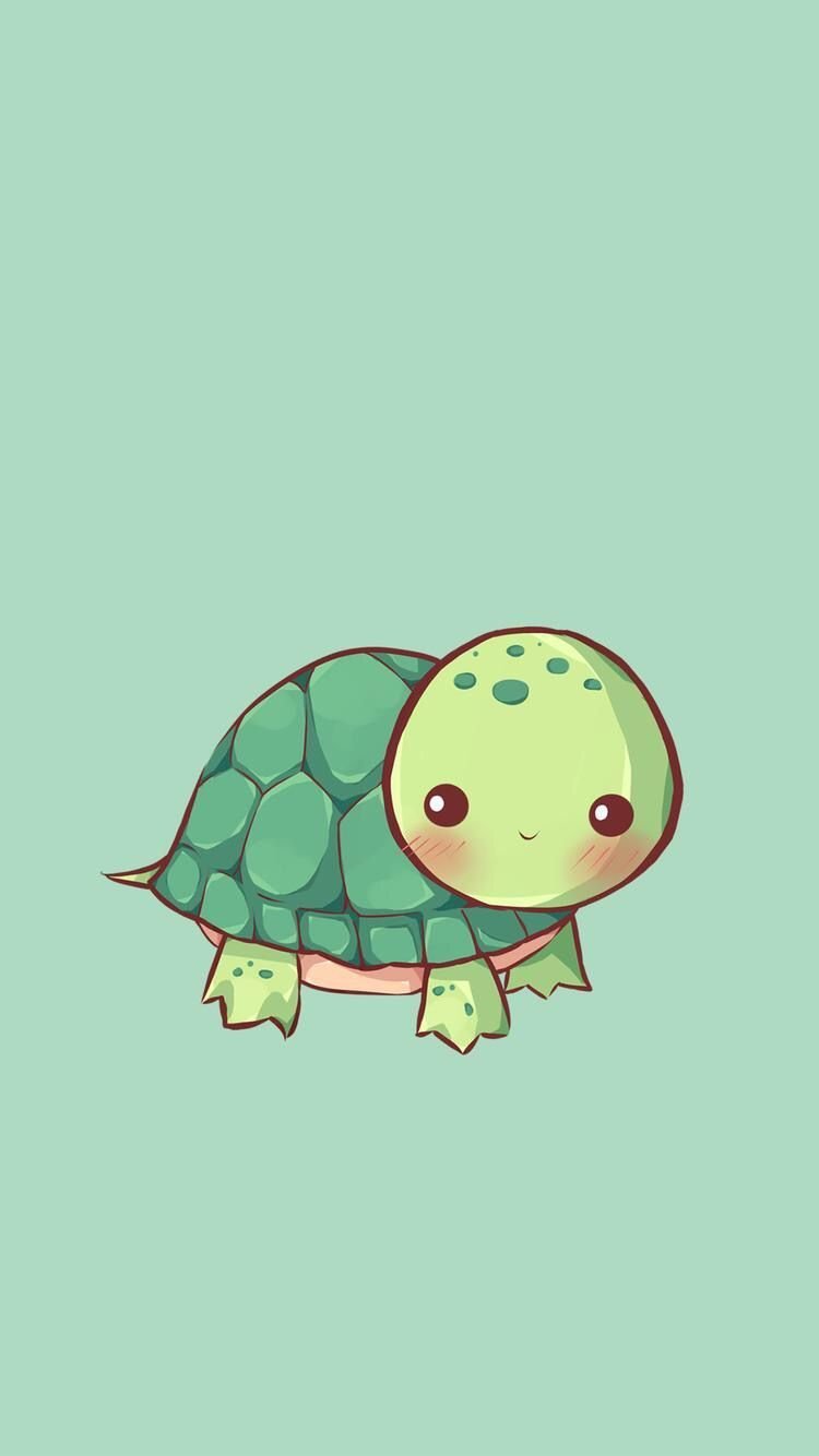 A cute little turtle with big eyes - Turtle