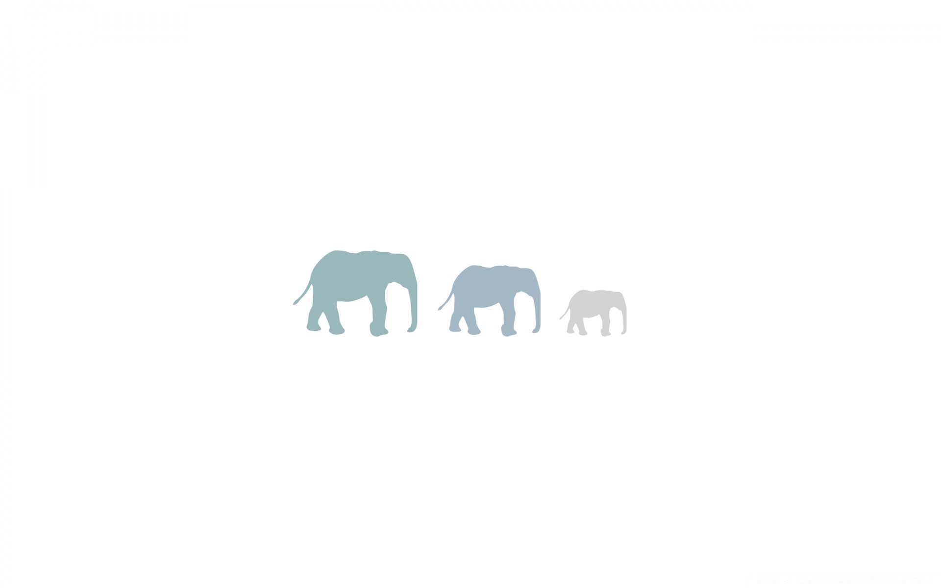 The Departing elephant Family on white wallpaper