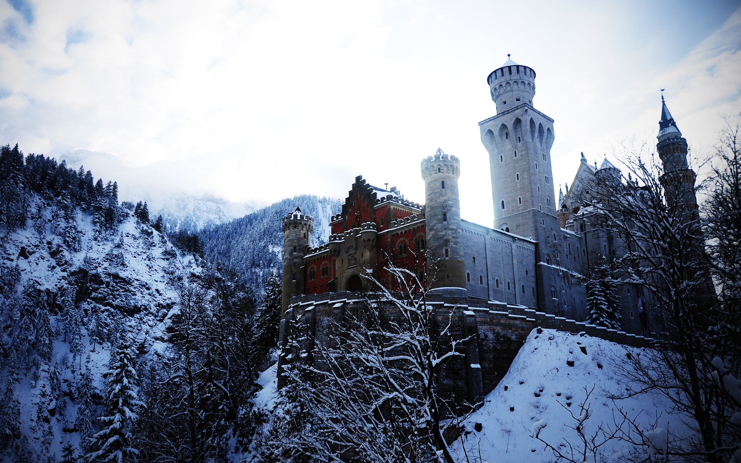 Neuschwanstein Castle, Bavaria, winter, mountains, nature, building, landscape Gallery HD Wallpaper