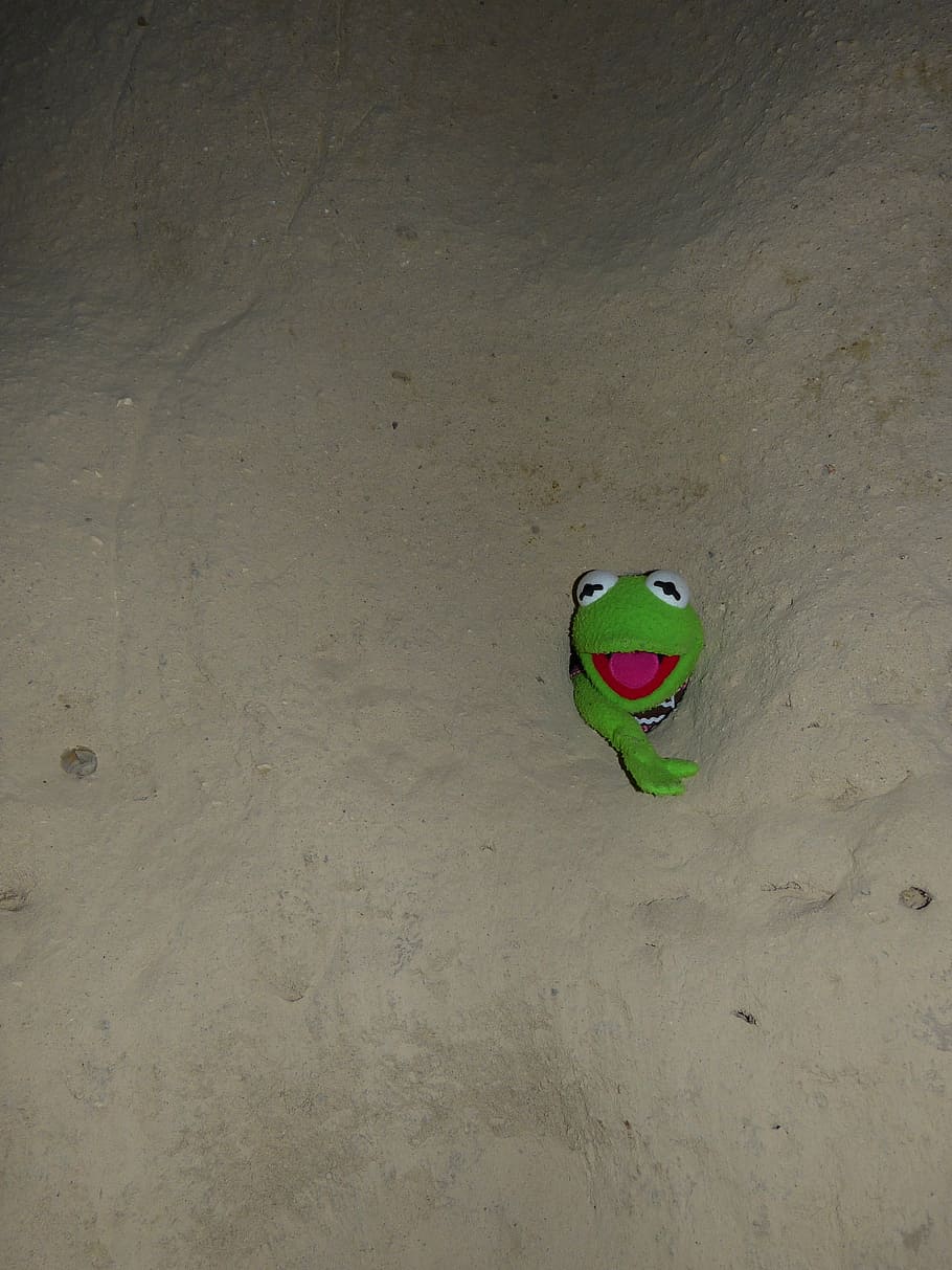 Kermit the frog sitting in a sand pit - Kermit the Frog