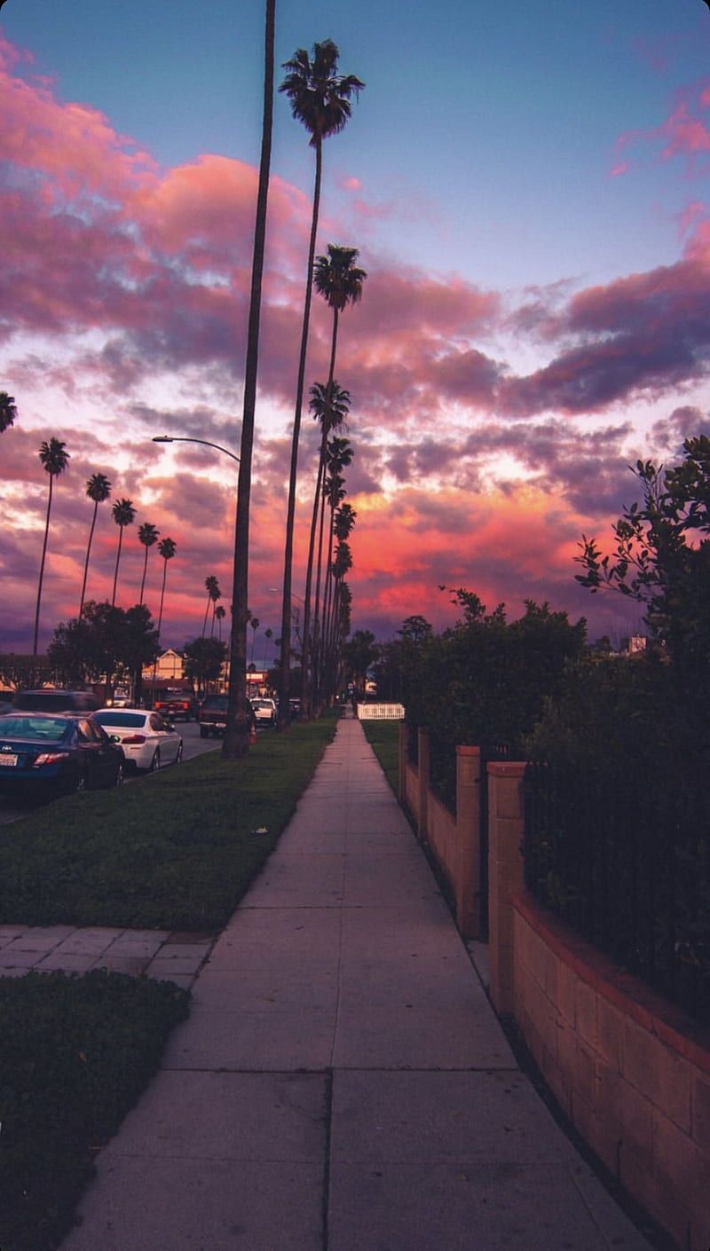Aesthetic. Los angeles graphy, Beautiful places in california, Places in california, HD phone wallpaper