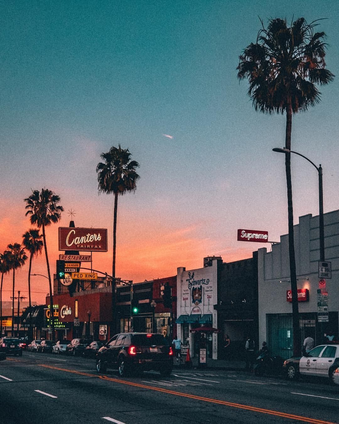 A street in California with palm trees and shops. - California, Los Angeles