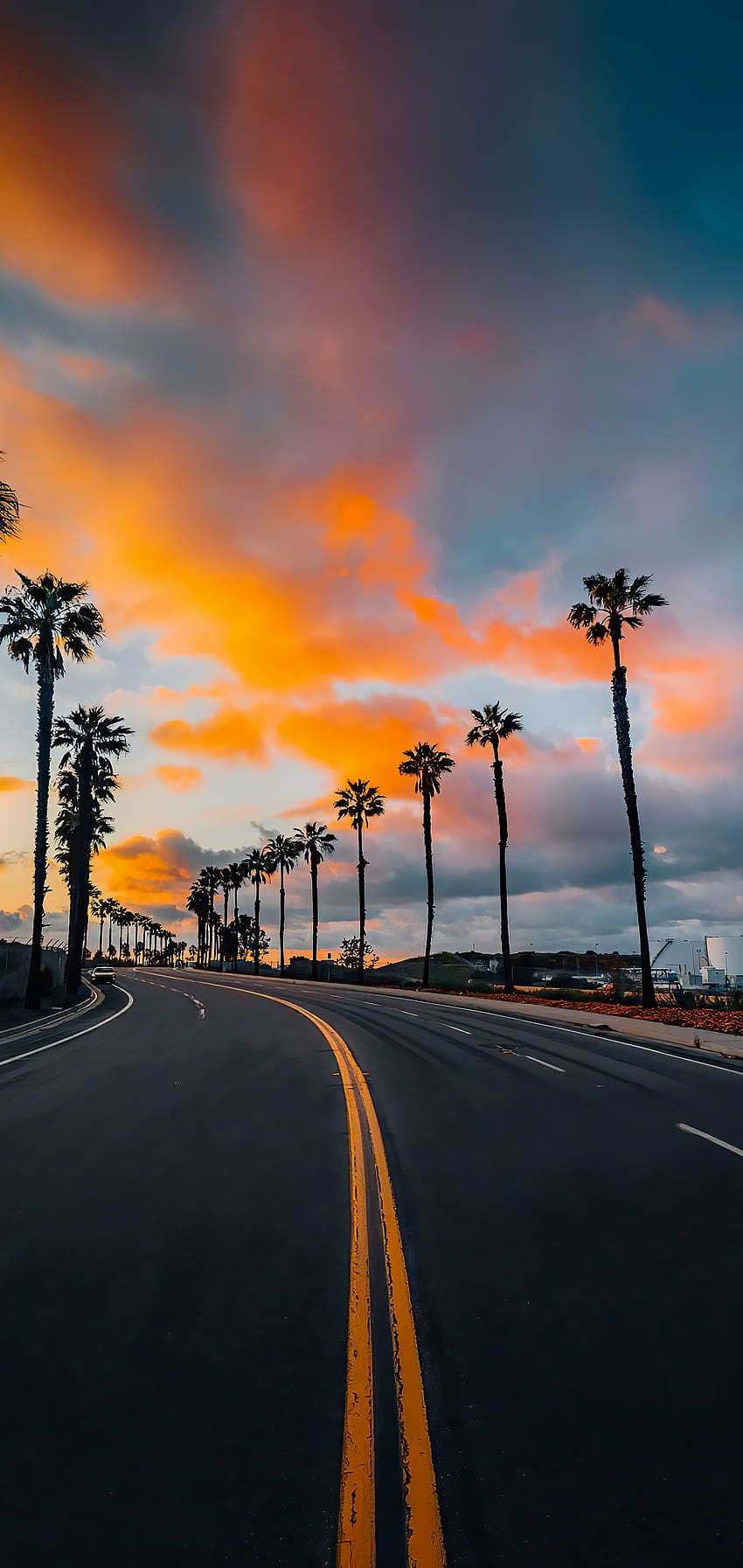 Aesthetic road with trees HD wallpaper