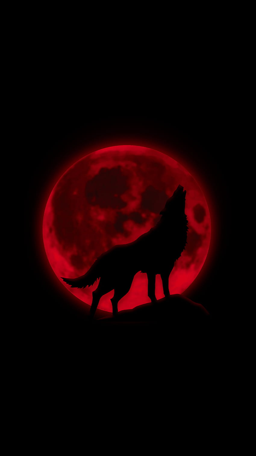 Wolves aesthetic HD wallpaper