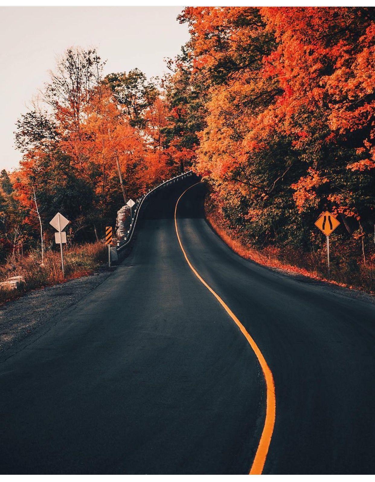 Road Aesthetic Landscape Wallpaper