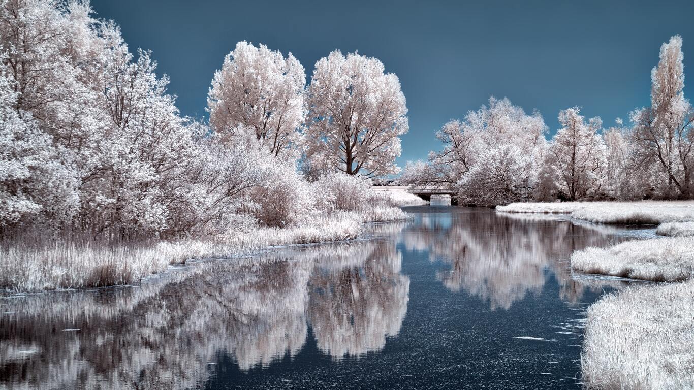 Ice Lake Frozen Trees 4k 1366x768 Resolution HD 4k Wallpaper, Image, Background, Photo and Picture