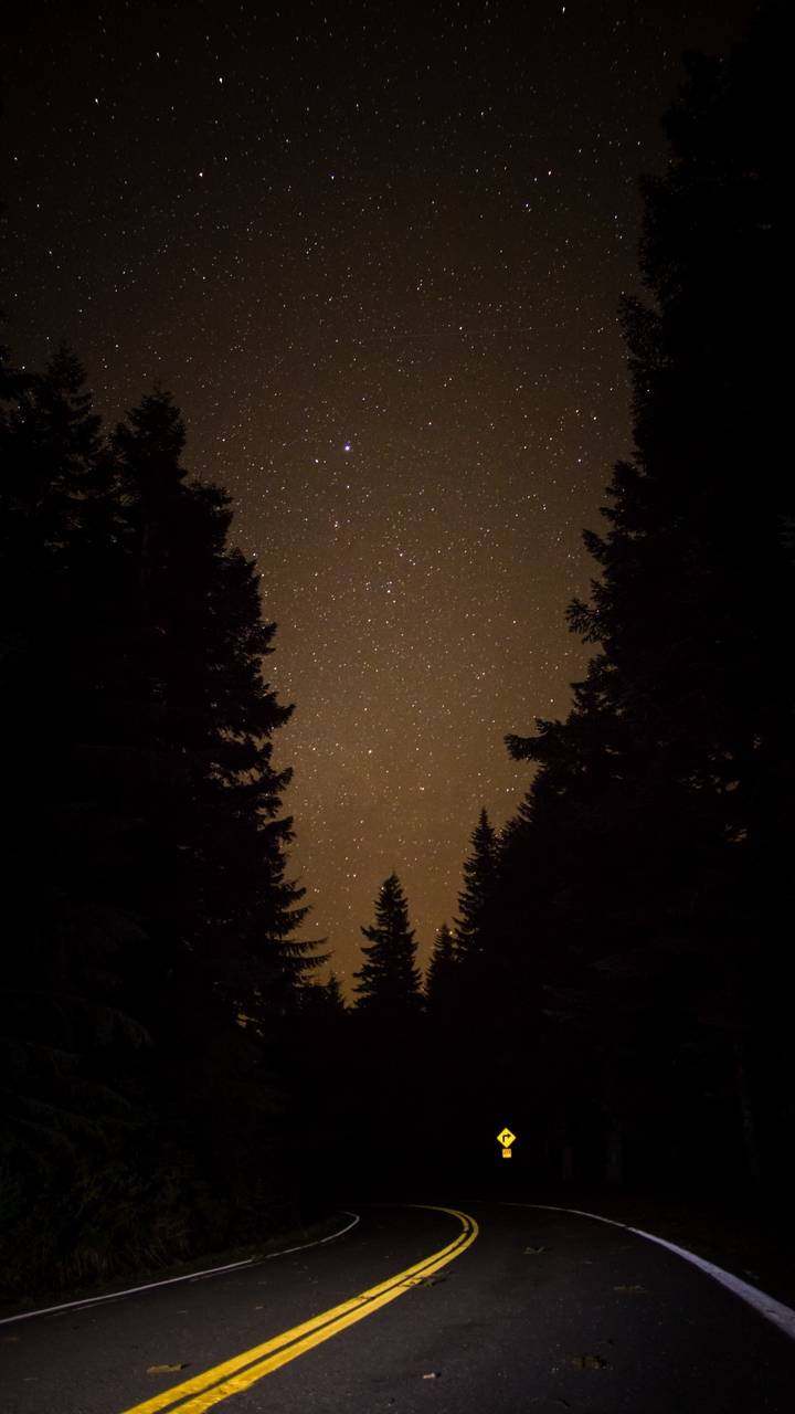 A road with trees and stars in the sky - Road