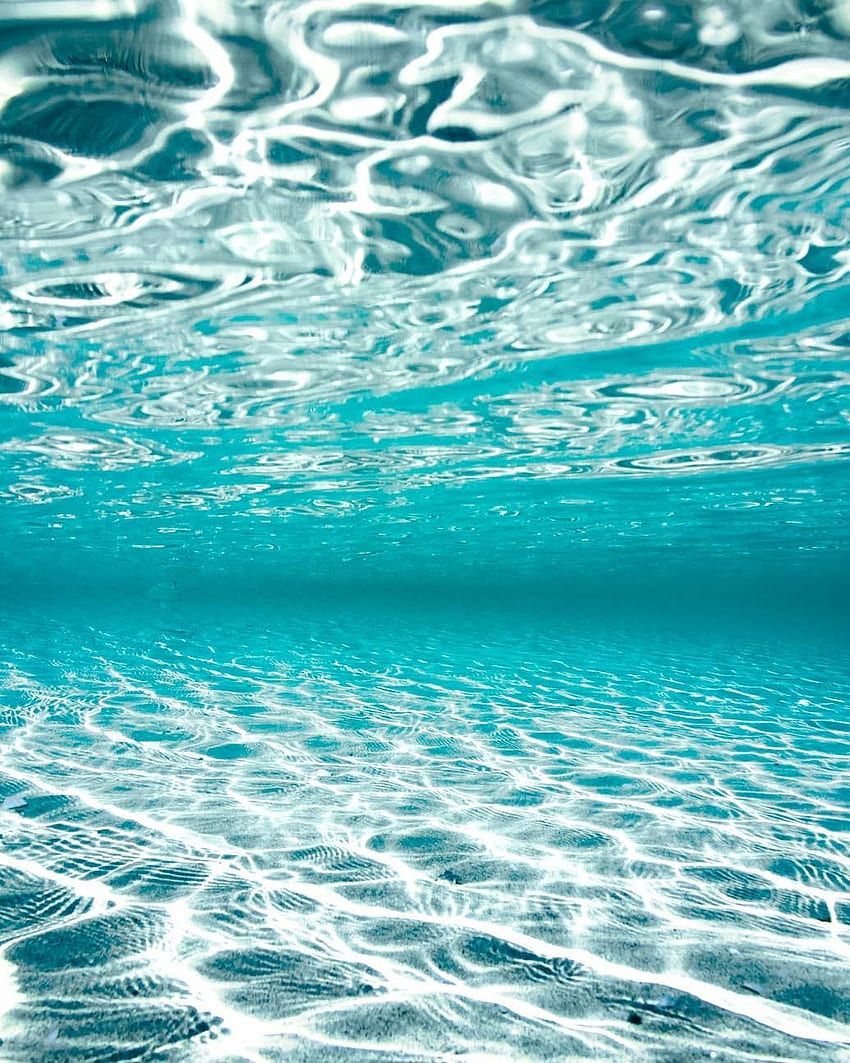 Underwater view of the ocean floor - Underwater