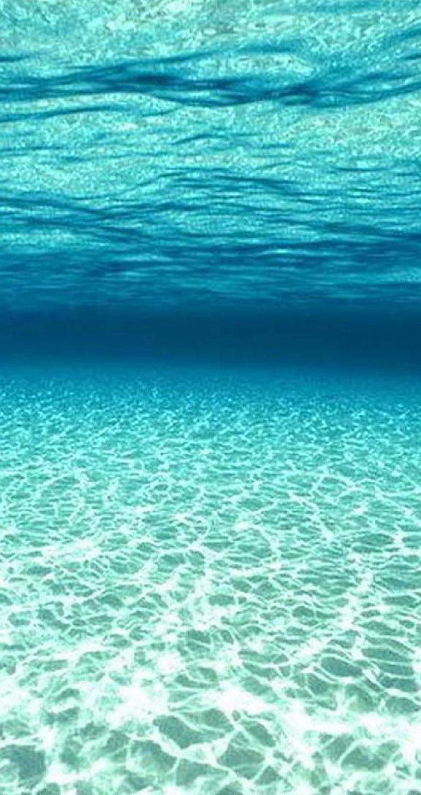 An underwater view of the ocean floor with clear blue water - Underwater
