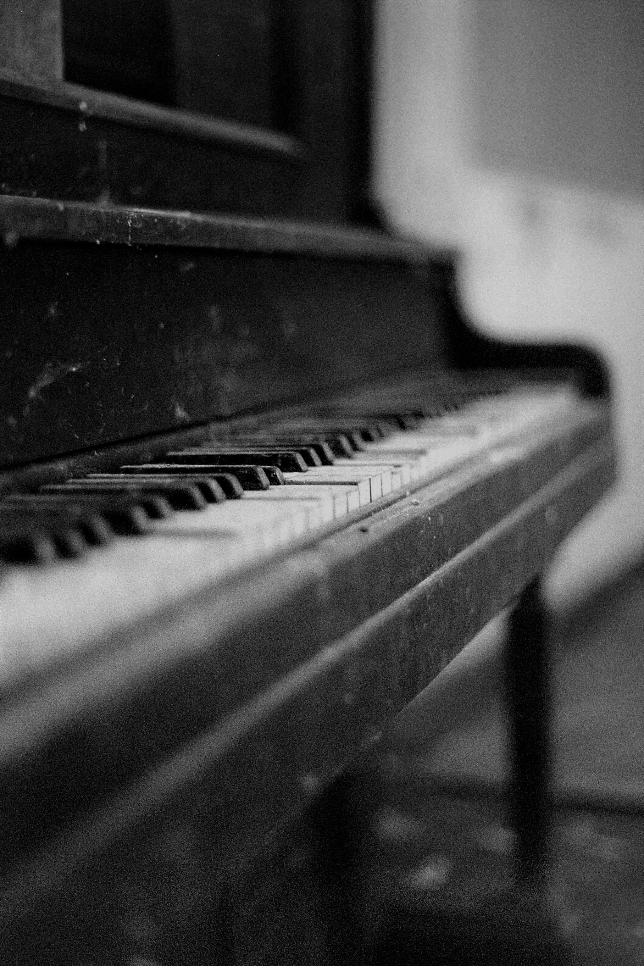 old, musical instrument, monochrome, piano Gallery HD Wallpaper