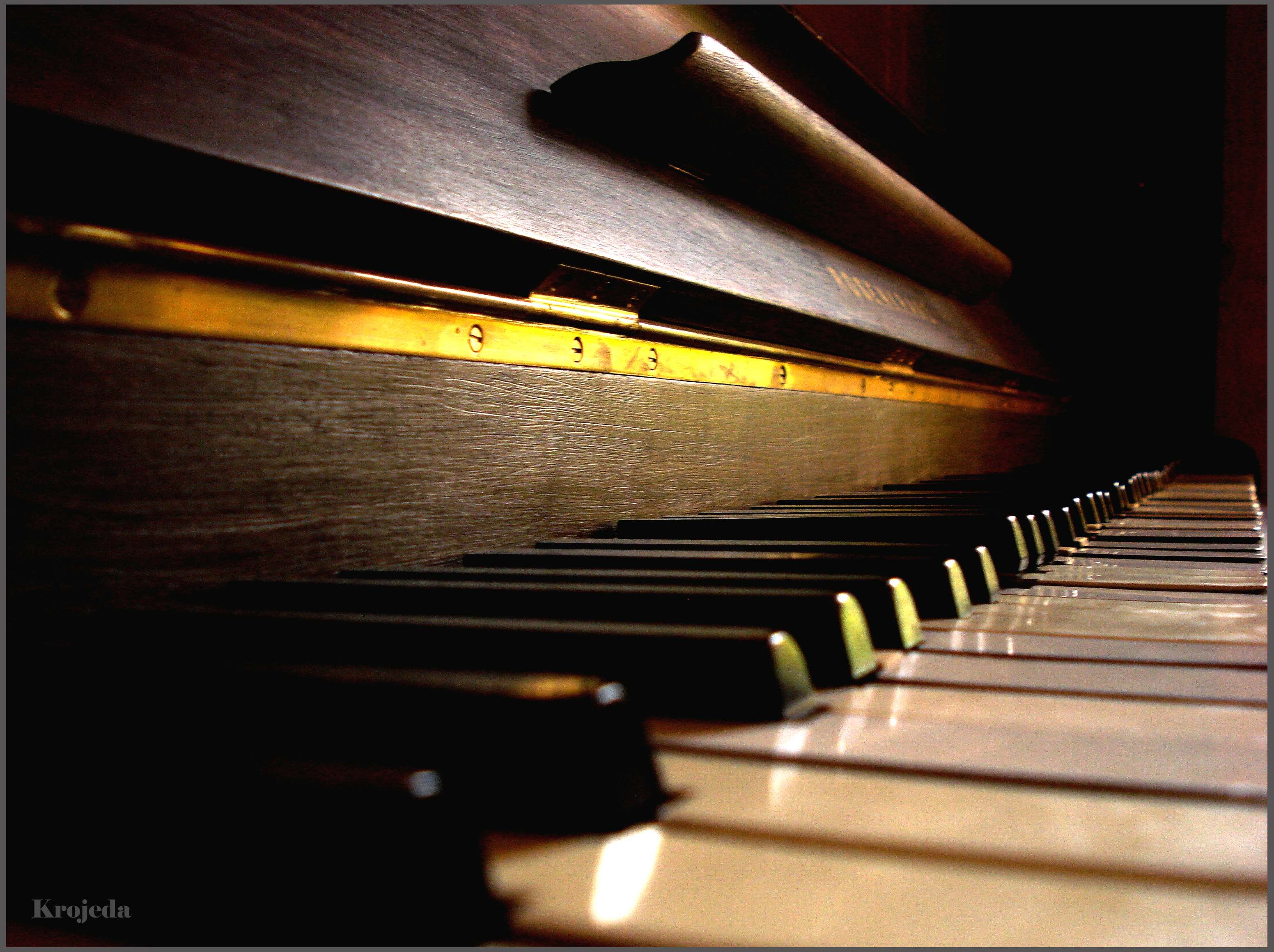 The keys of a piano are shown in a close up. - Piano