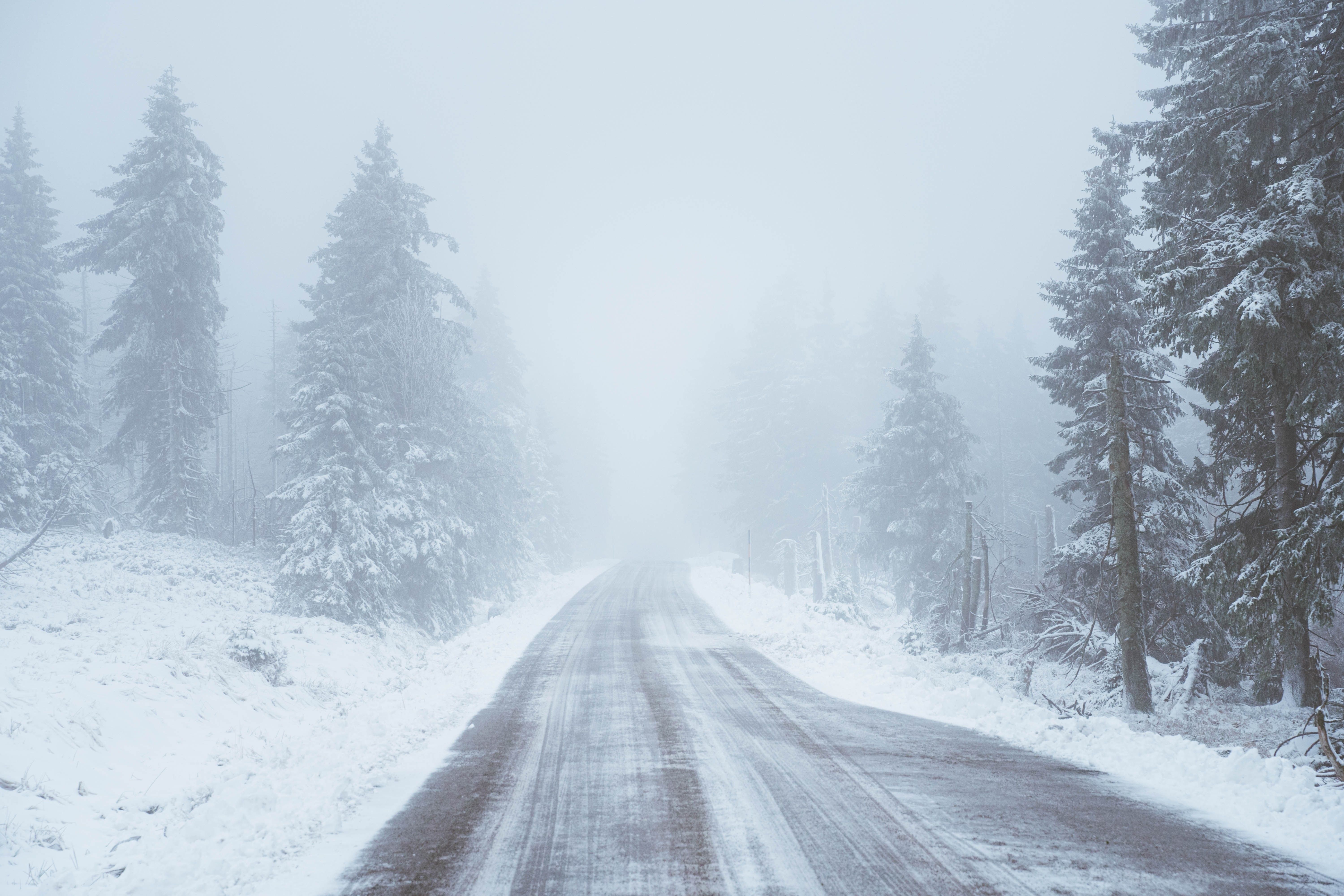 4K, snow, trees, winter, road Gallery HD Wallpaper