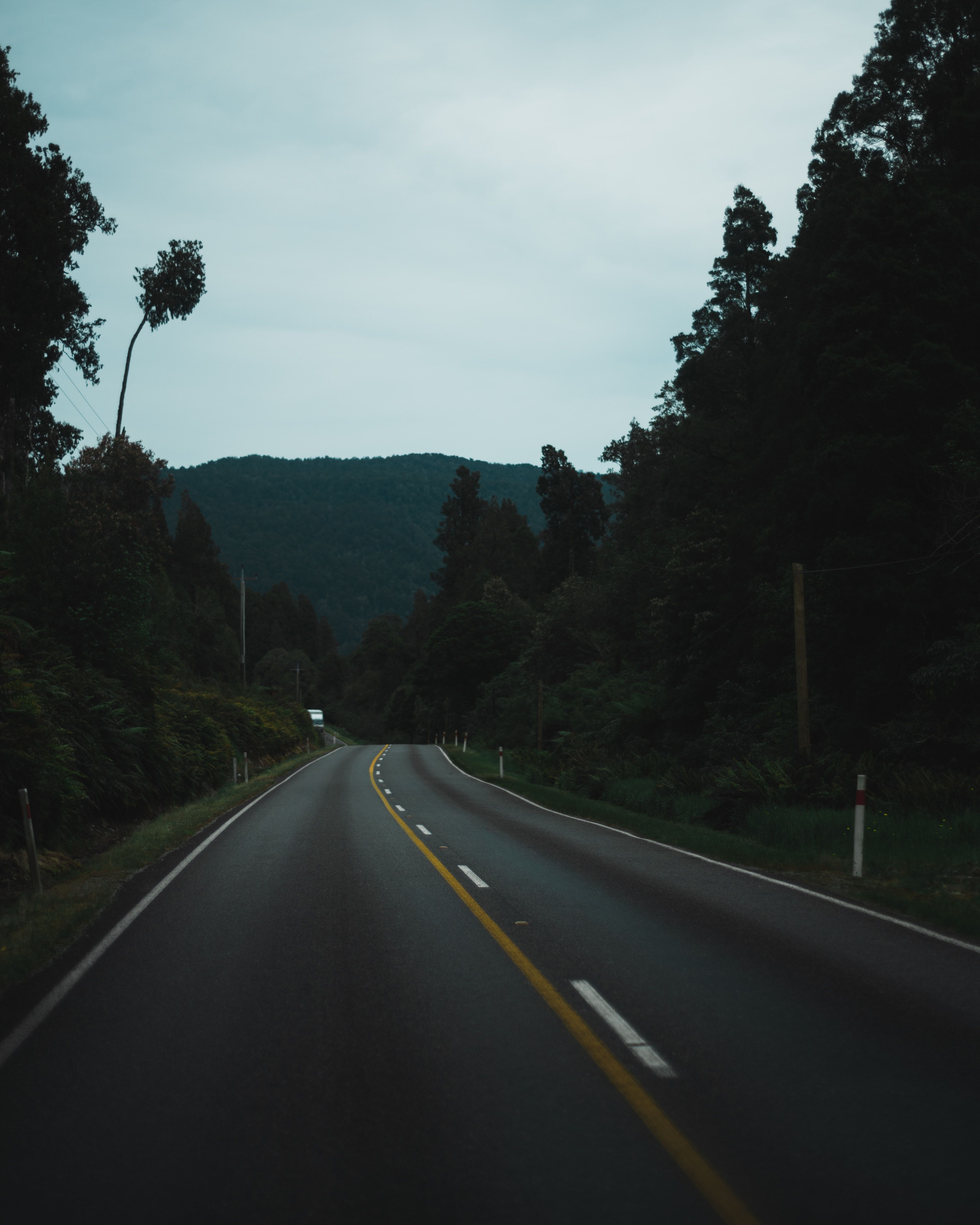 A road with trees on both sides and mountains in the distance. - Road