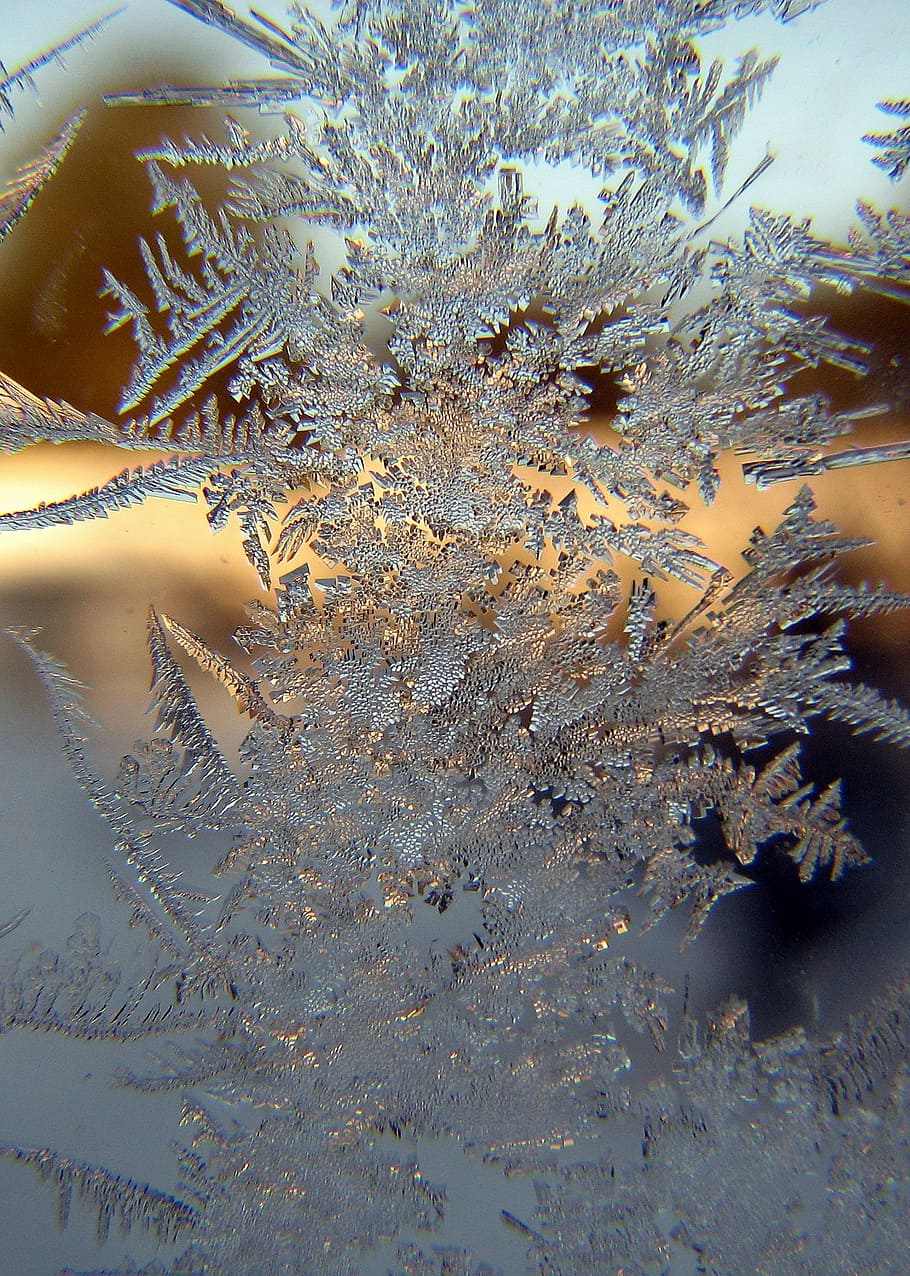 HD Wallpaper: Close Up Photo Of Snowflake, Winter, Light, Ice, Glass, White