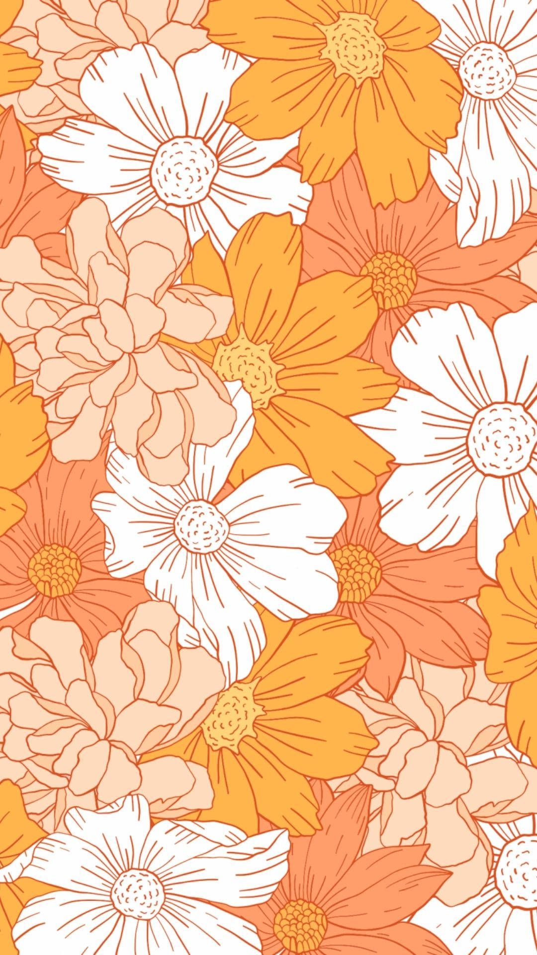 A pattern of orange and white flowers - Flower, bright